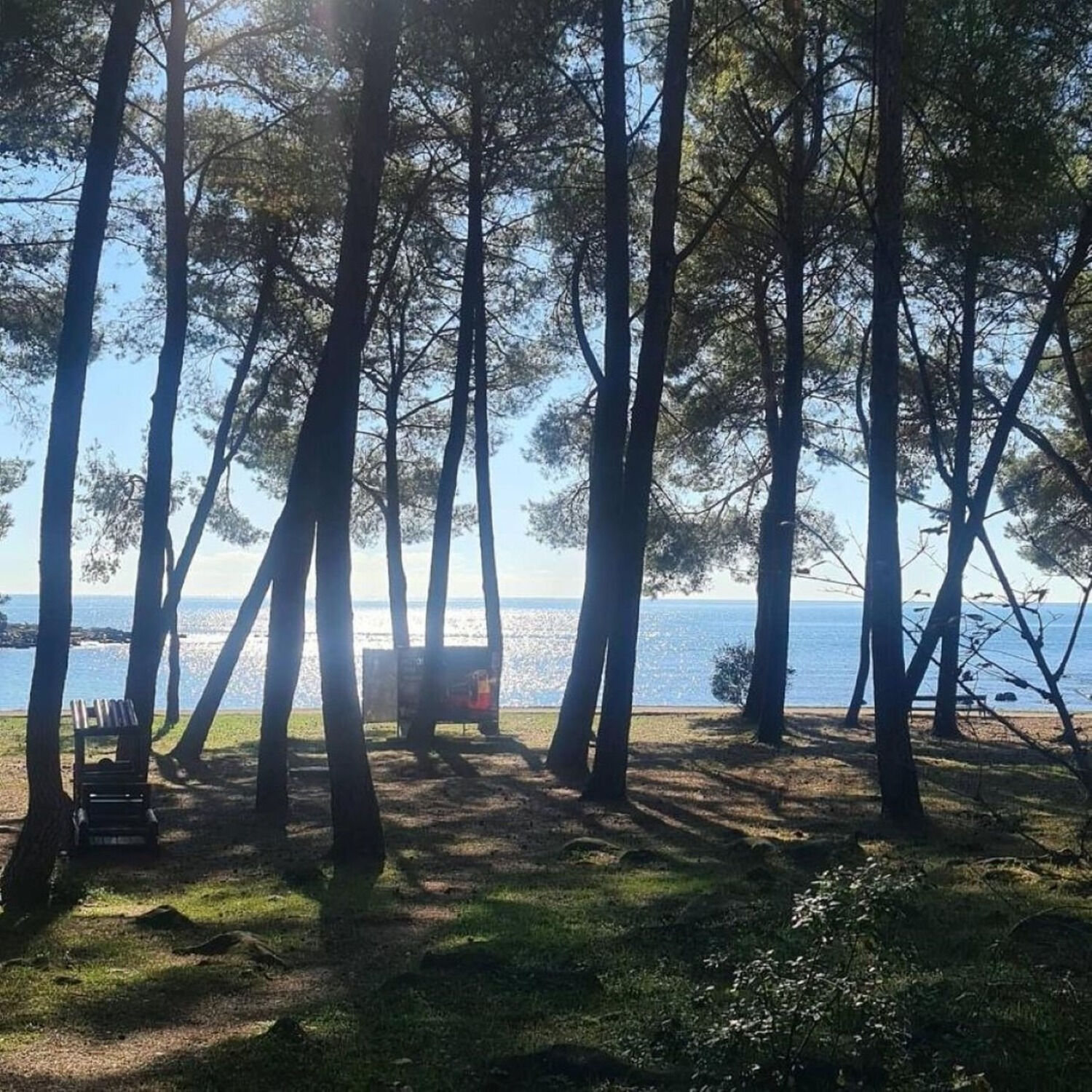 Photo of Apartments IVO