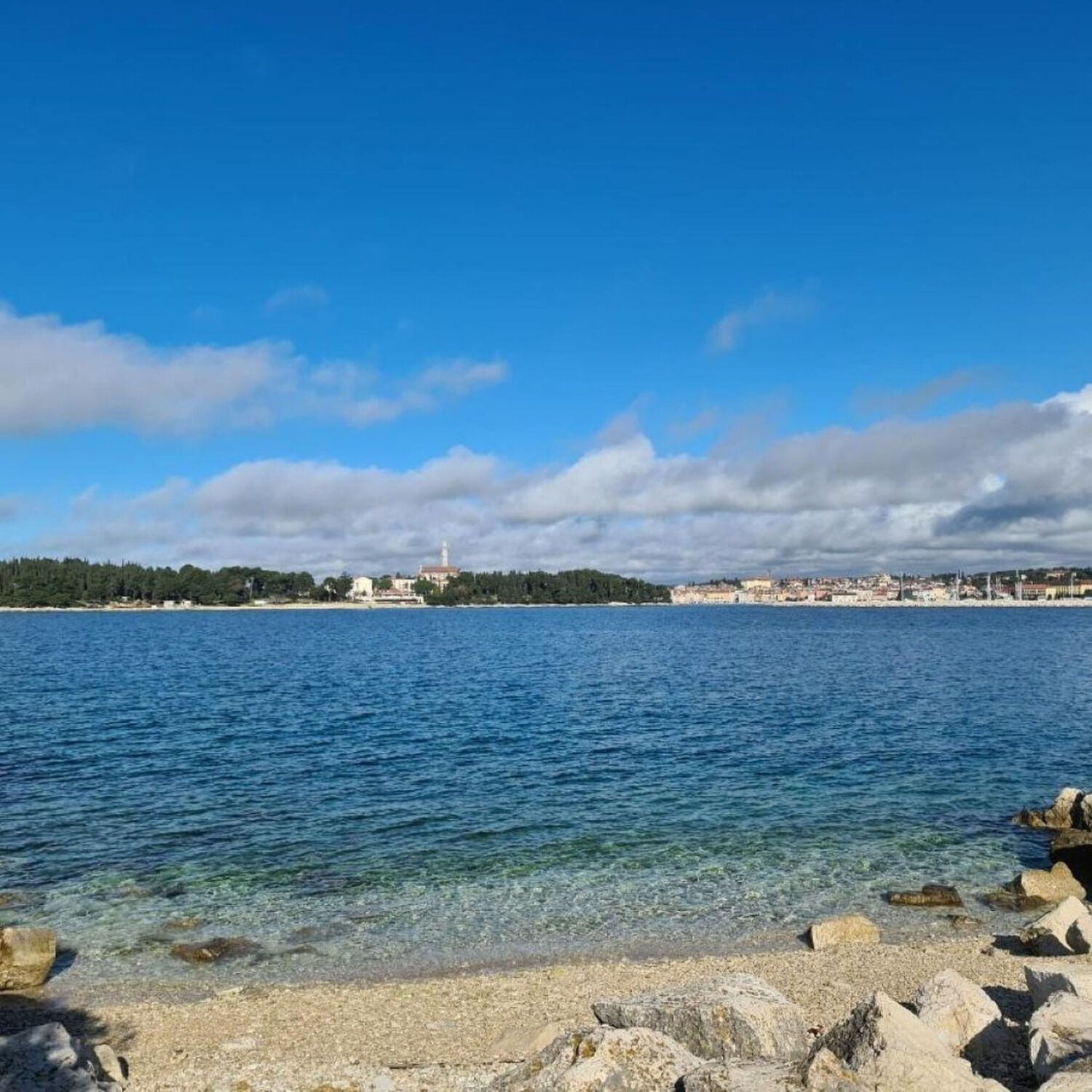 Photo of Apartments IVO