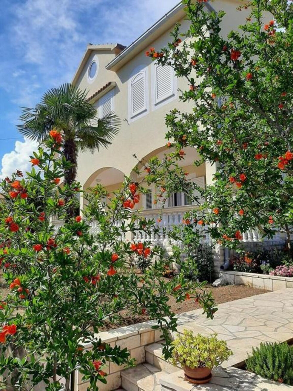 Apartments Josip 111611-A1