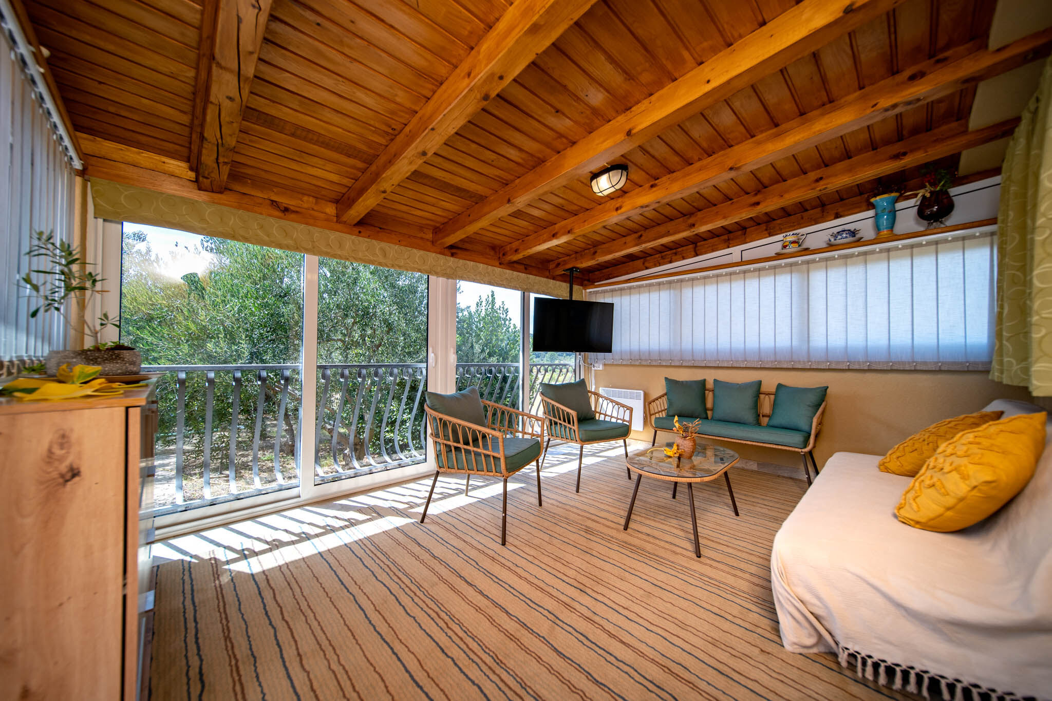 House Olive tree 60002-K1
