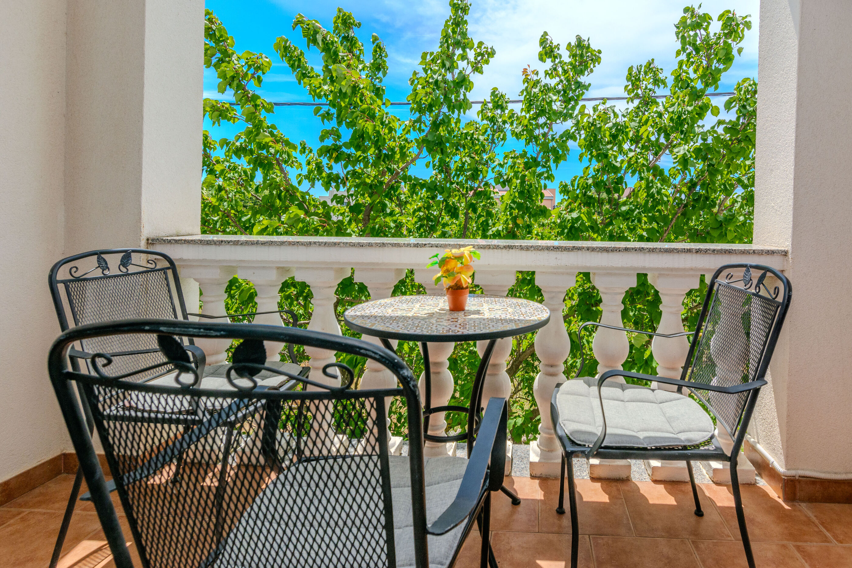 Apartments Ercegovic 11456-A3