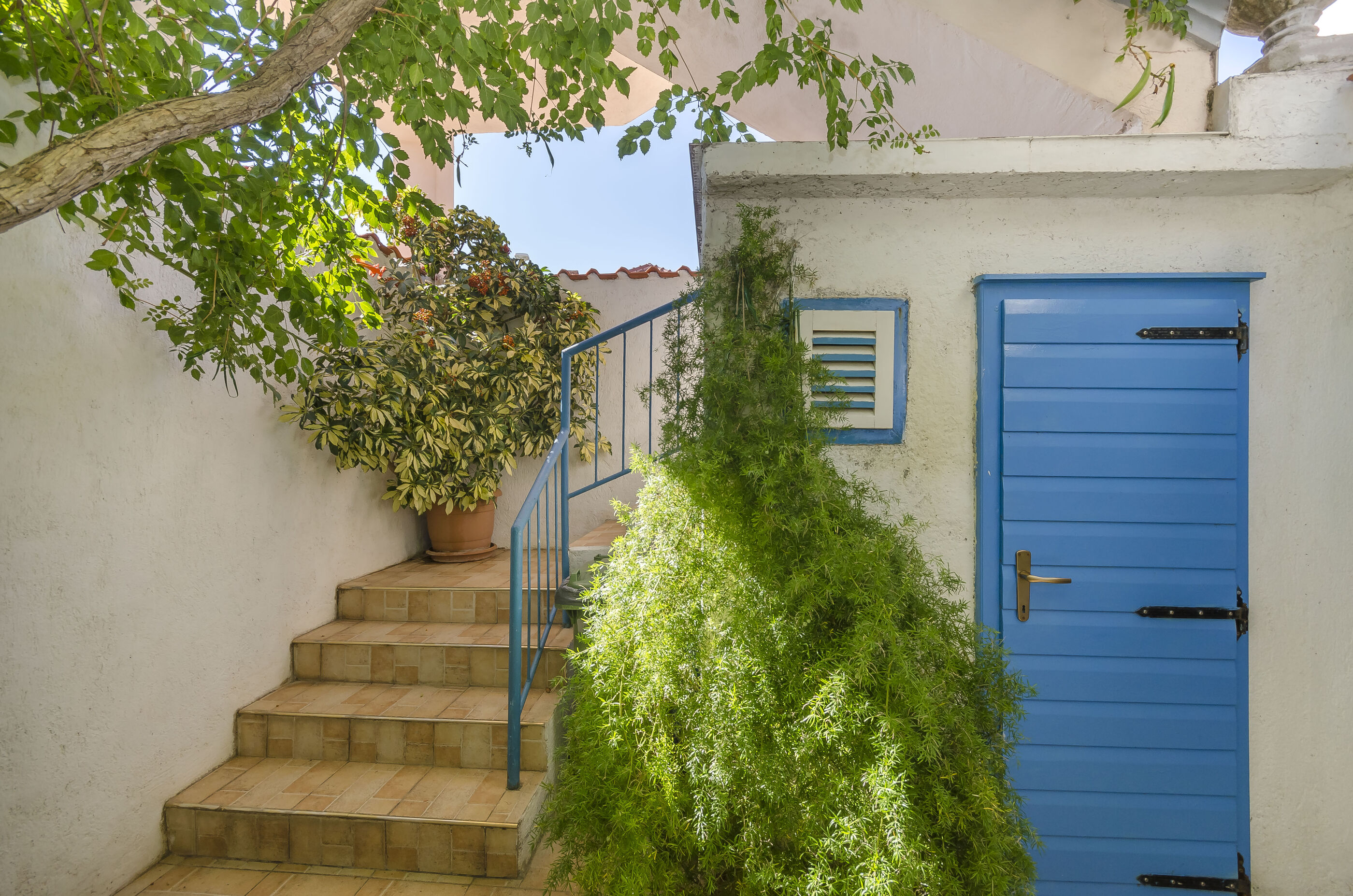 House Blue Island 114721-K1