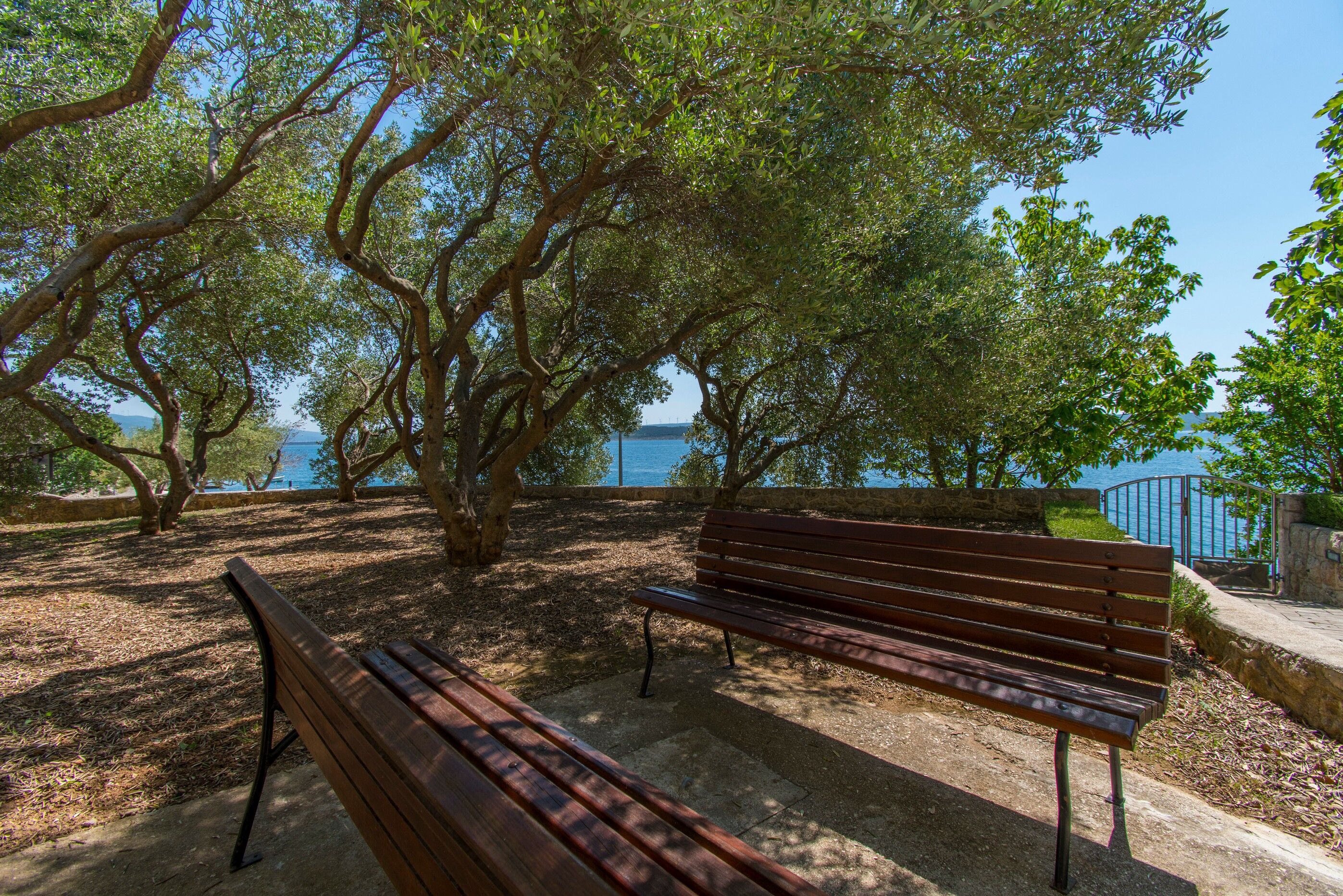 Photo of Apartment Ana