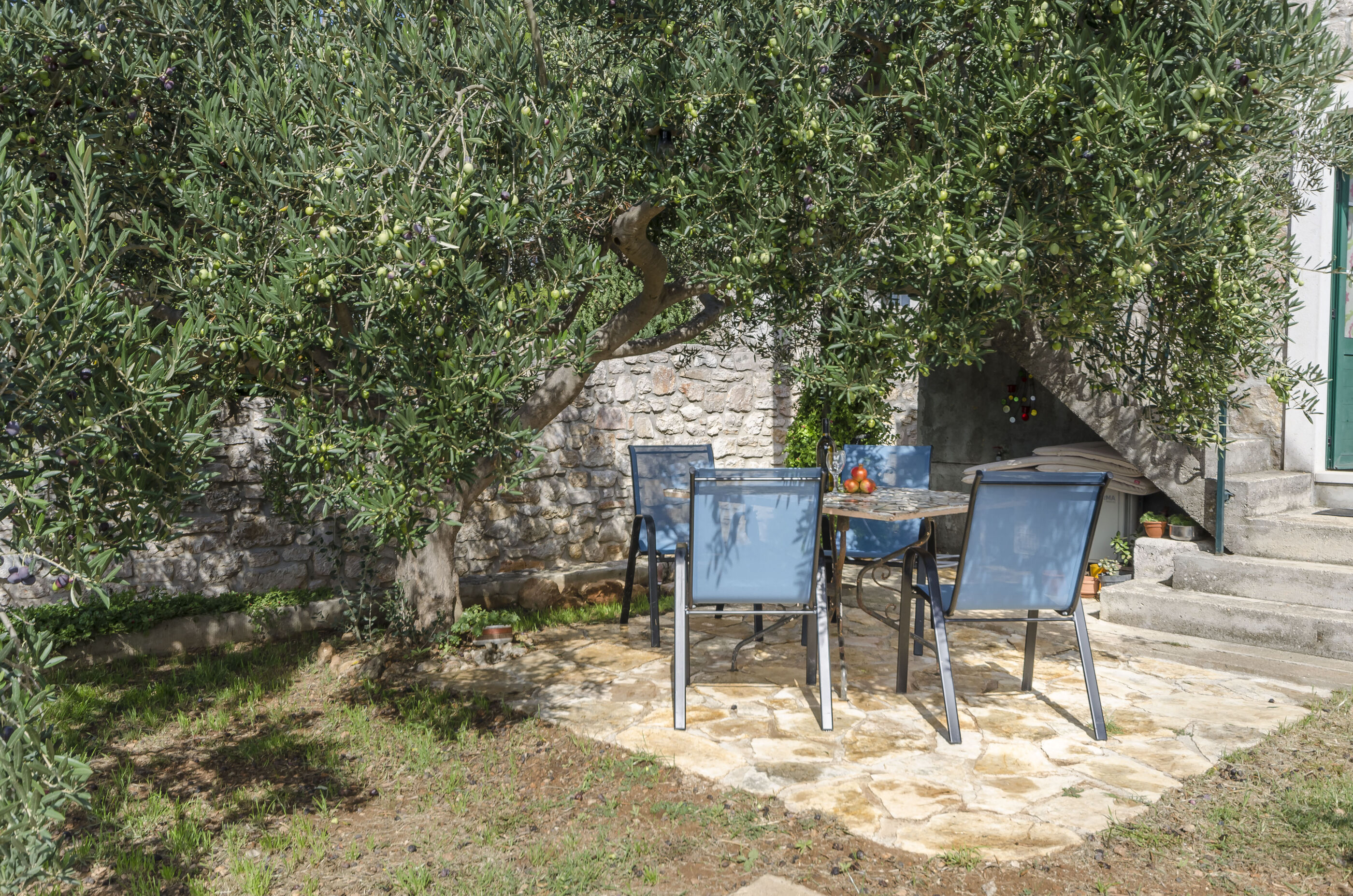 Apartman Island memories A1