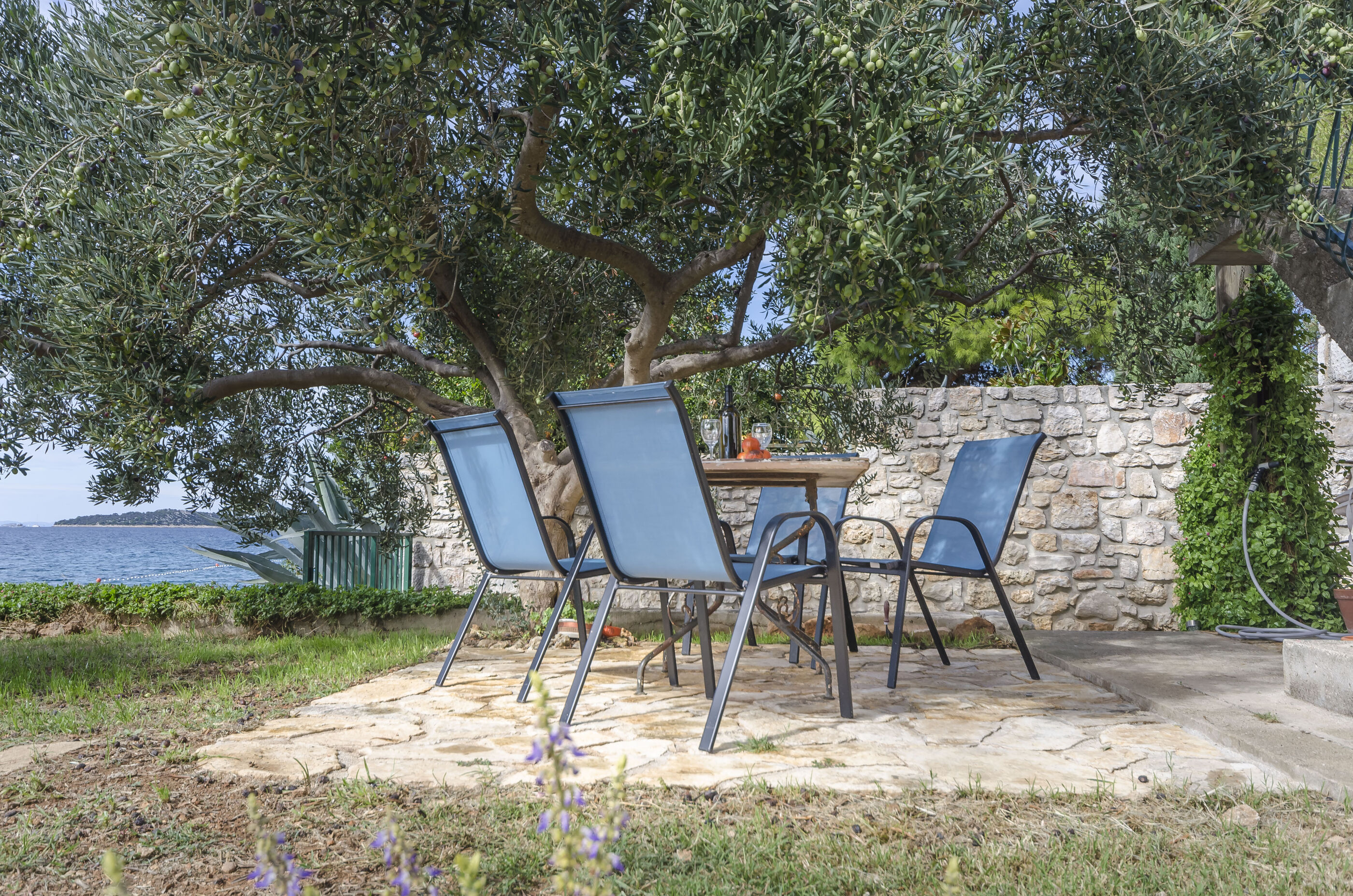 Apartman Island memories A1