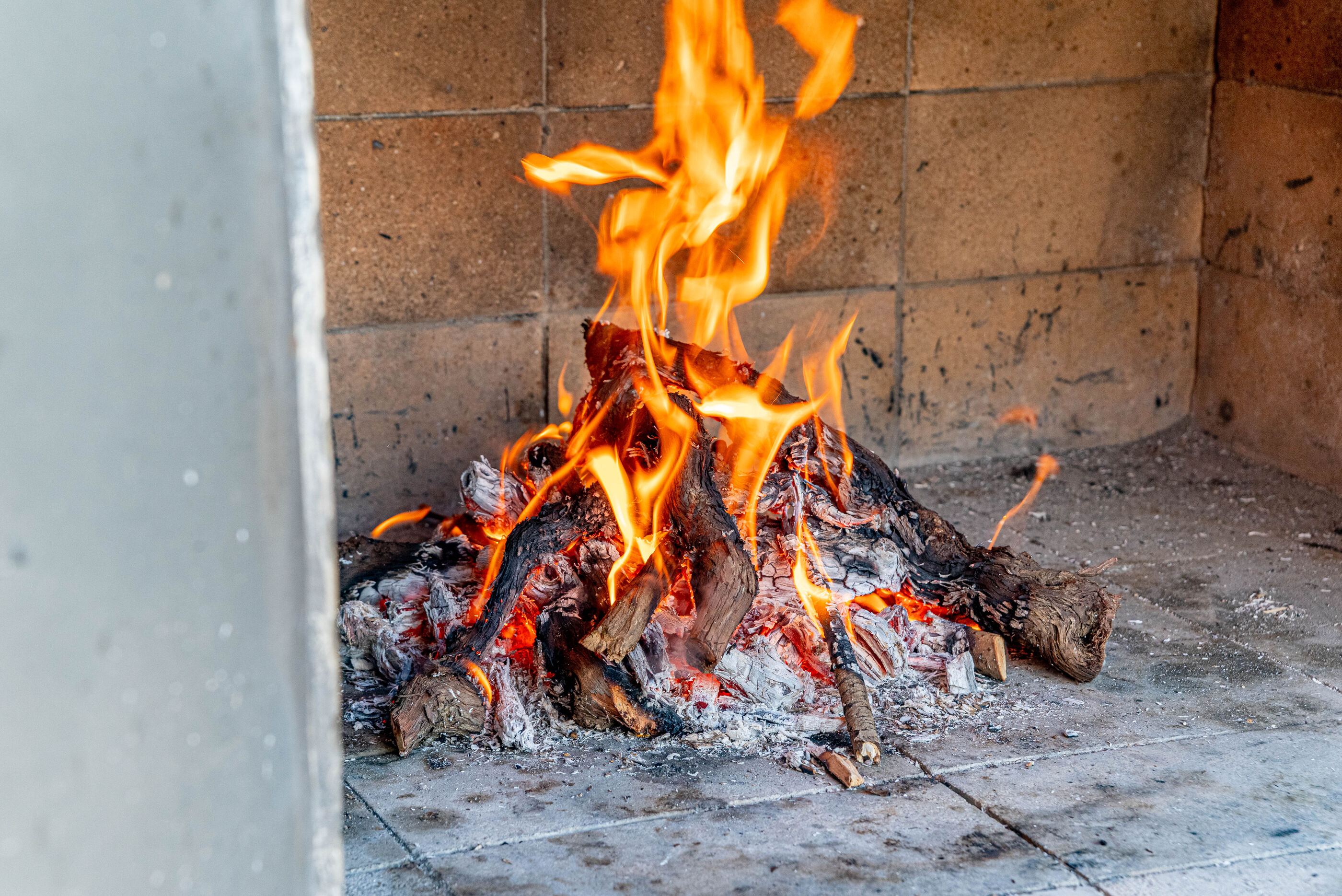 Photo of Apartments Vesna