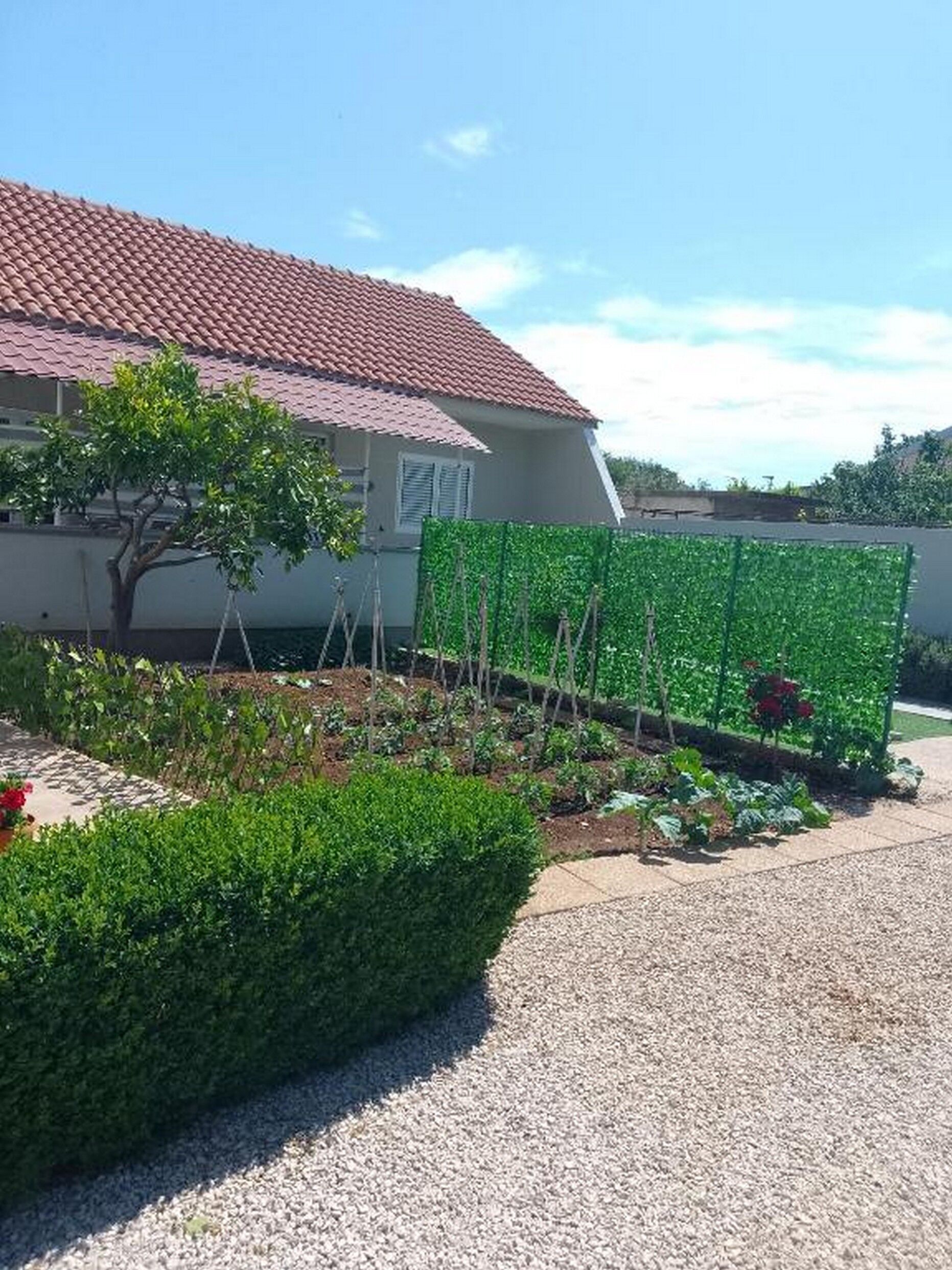 House Zdenka 27331-K1