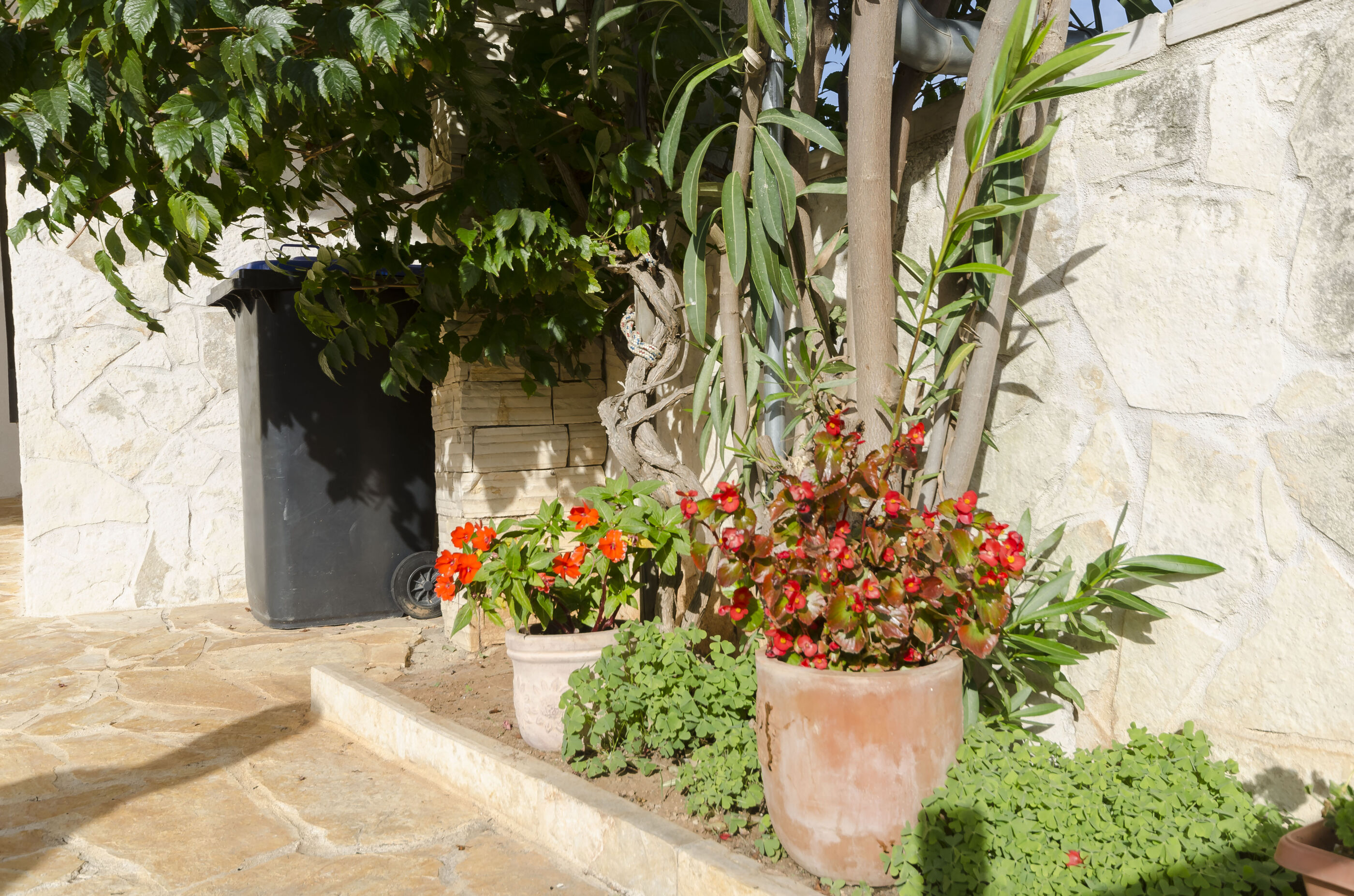 Apartment Blumen 114821-A1