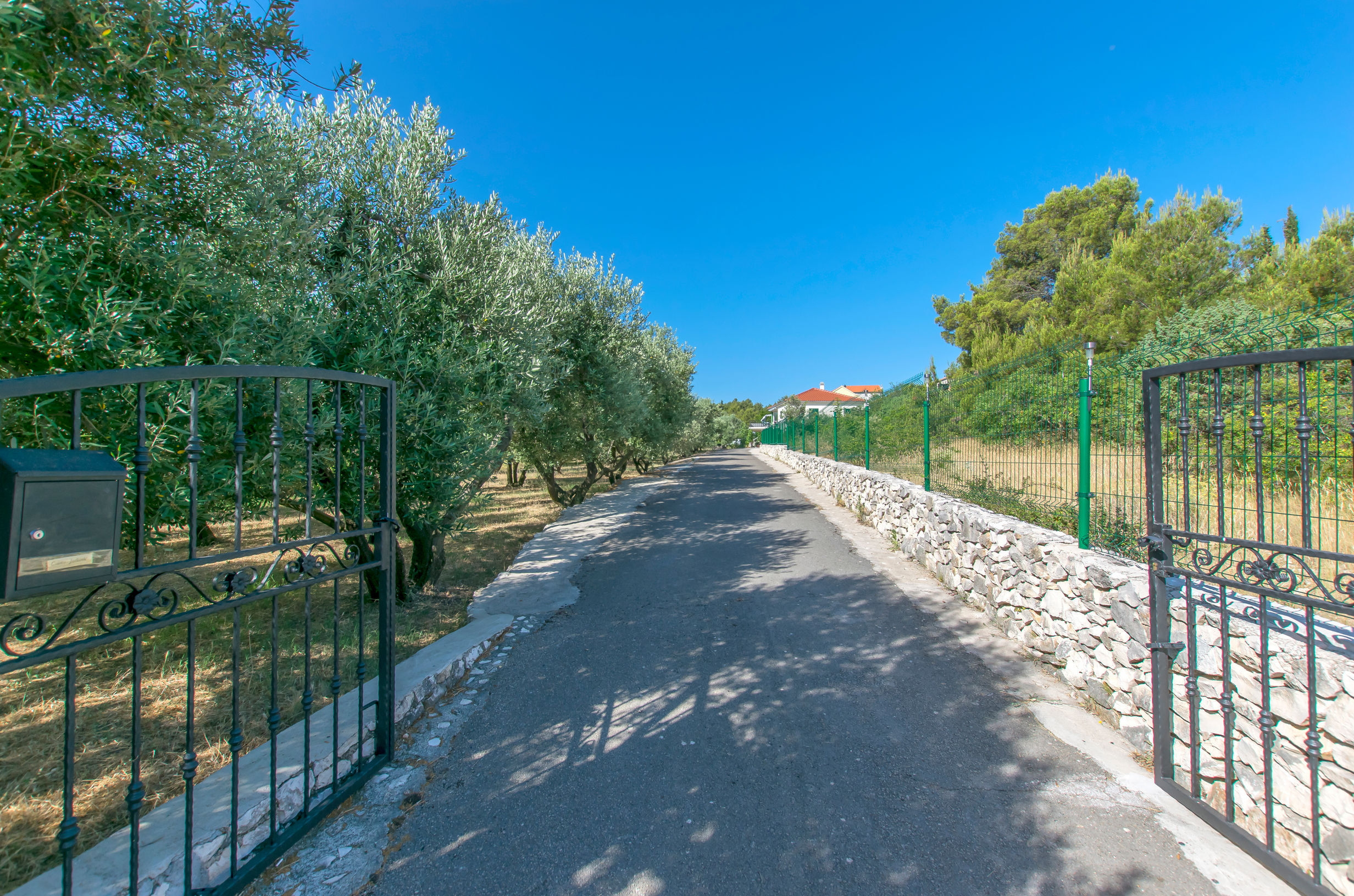 Apartment Maslina 72182-A1