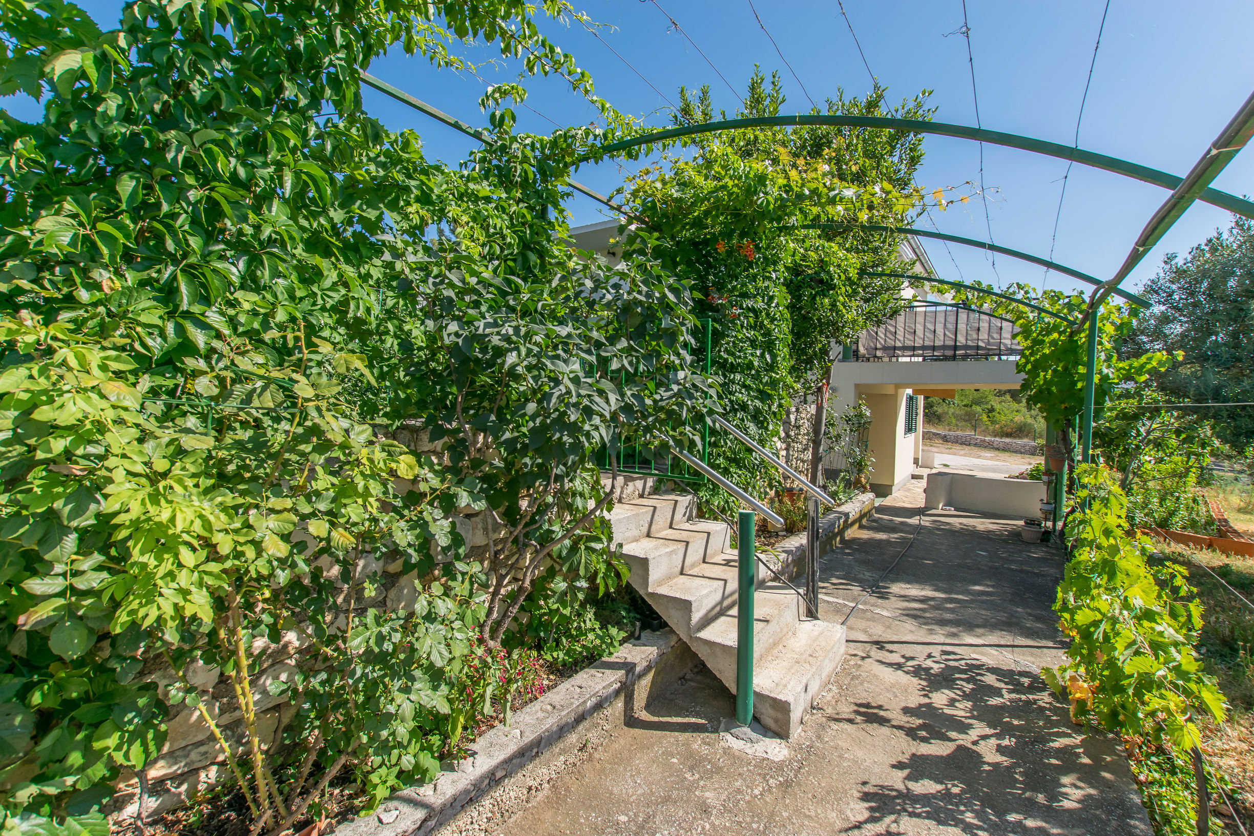 Apartment Maslina 72182-A1