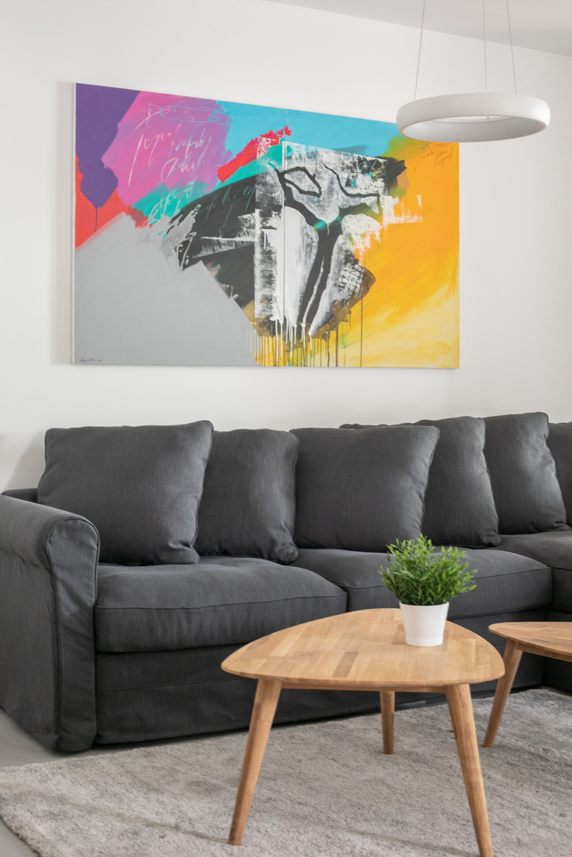 Apartments Villa Mt Brela 114911-A1