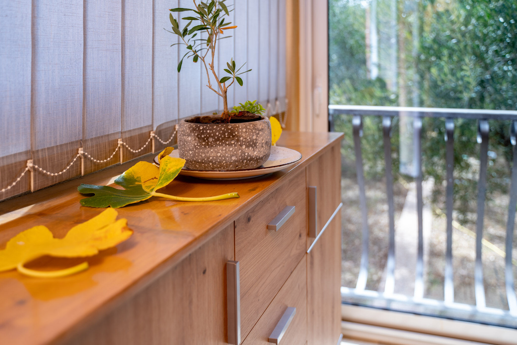 House Olive tree 60002-K1