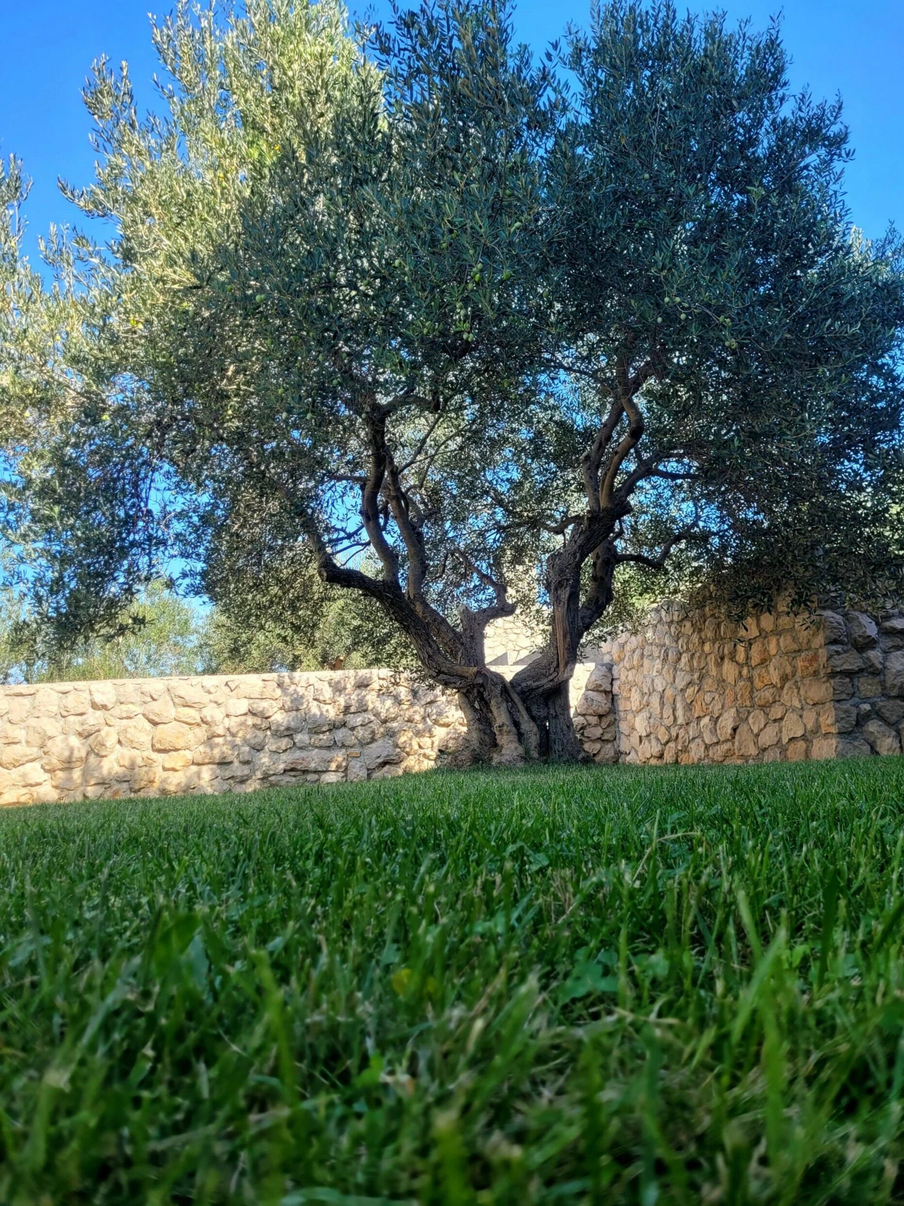 Apartment Maria 114921-A1