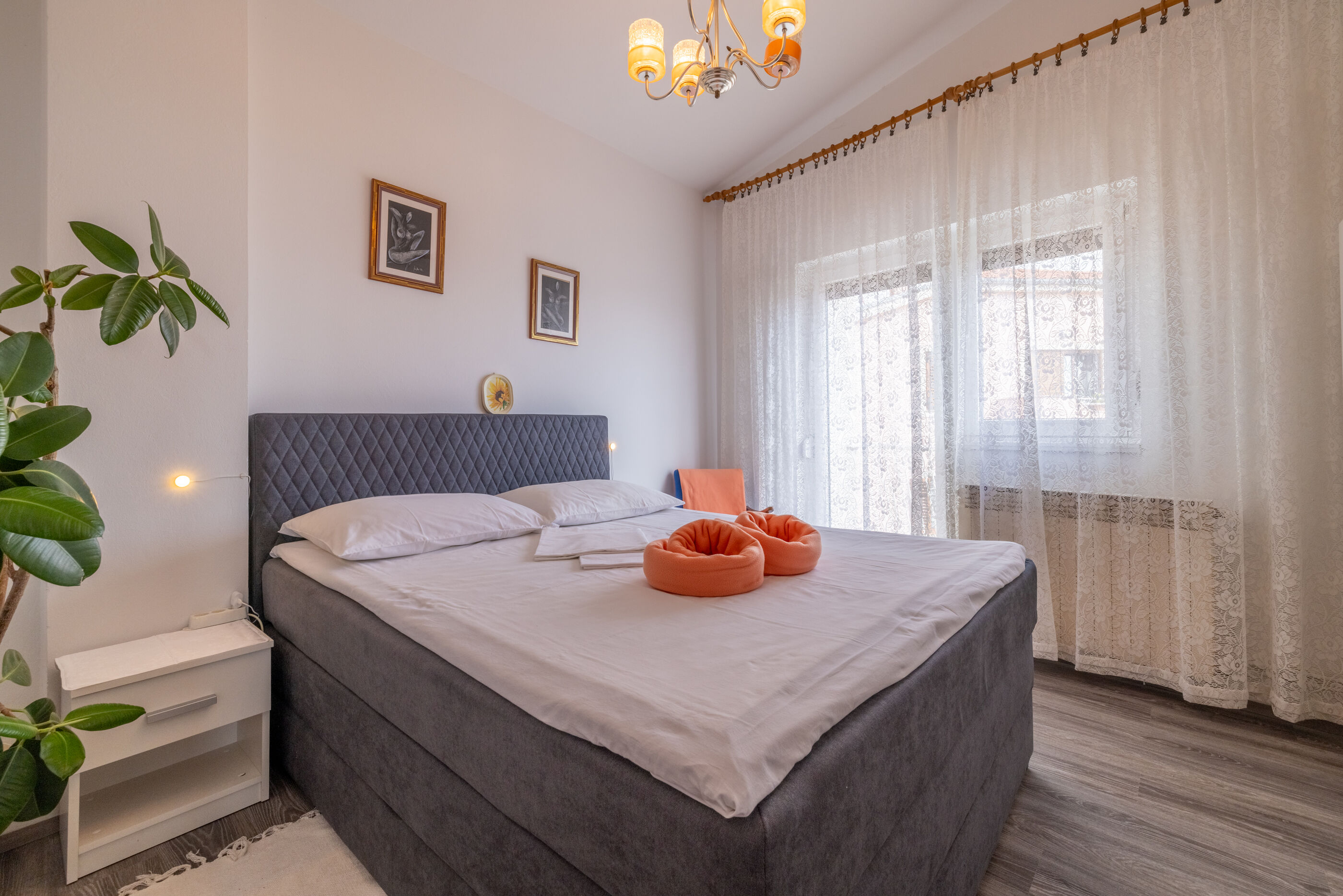 Apartments FEĐA 62603-A2