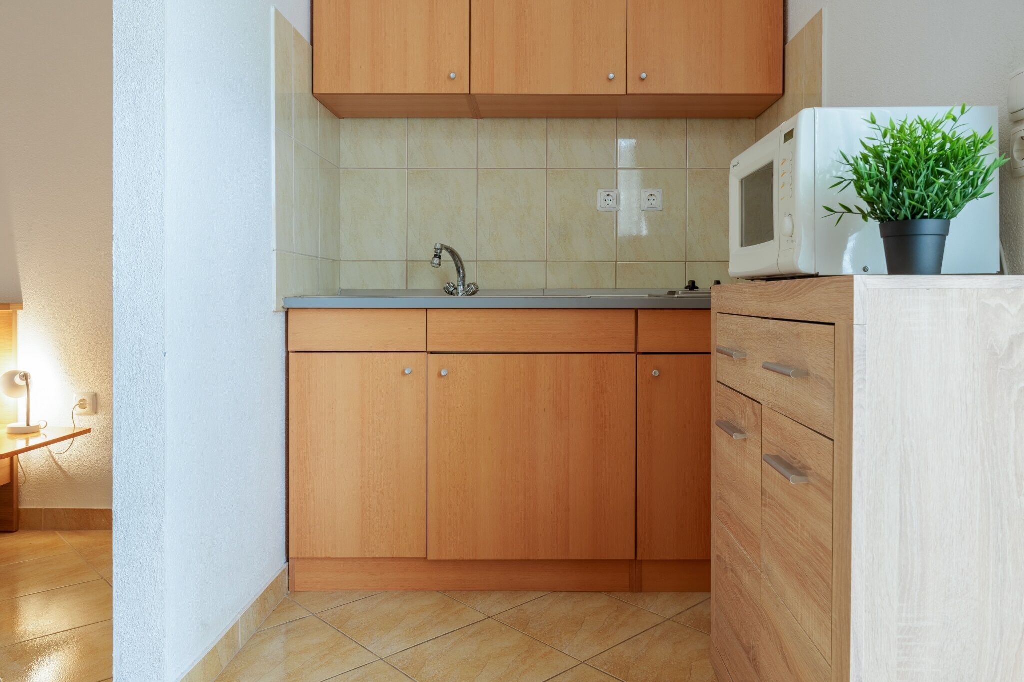 Apartments Ruža 111861-A7
