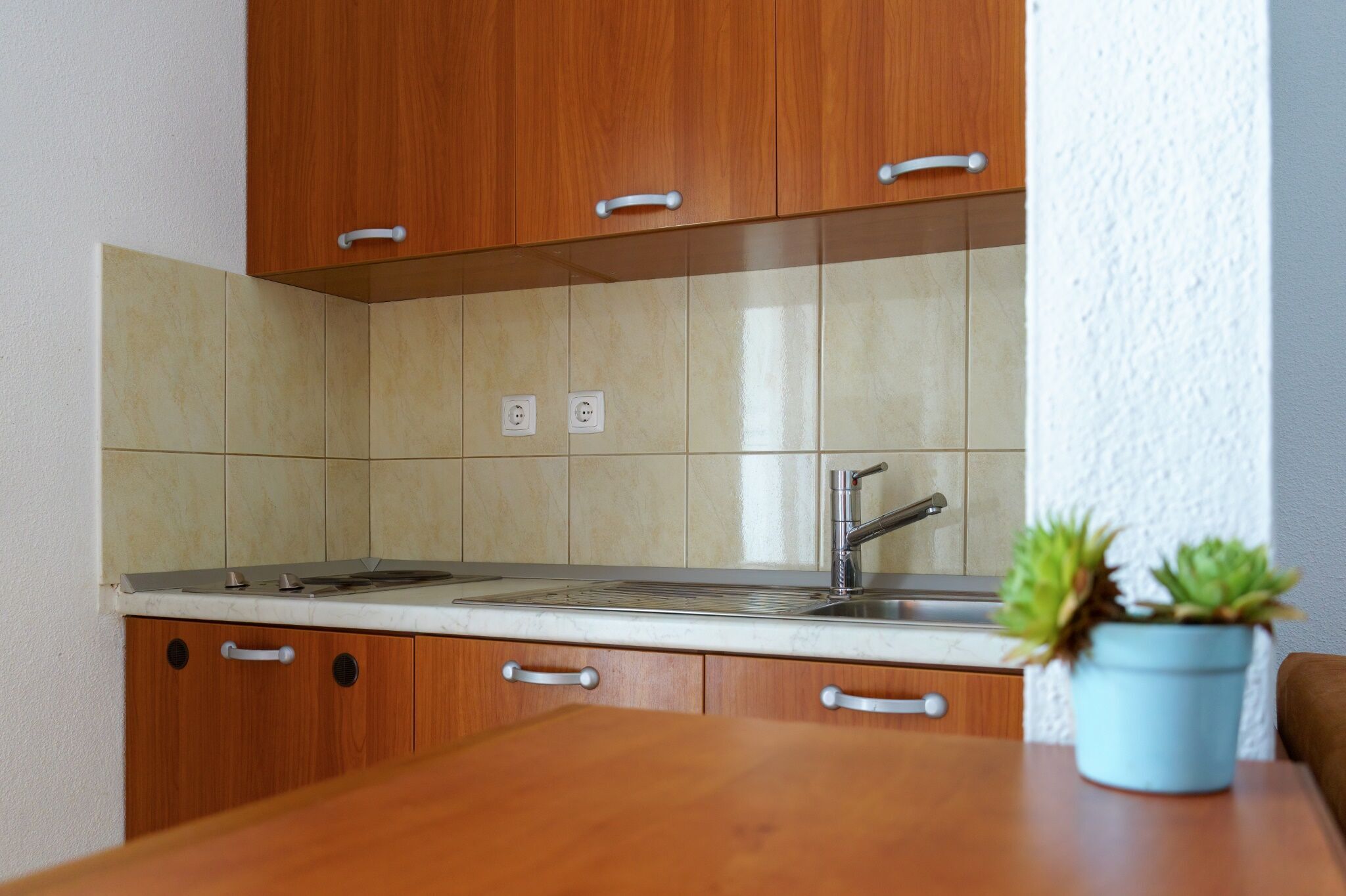 Apartments Ruža 111861-A4