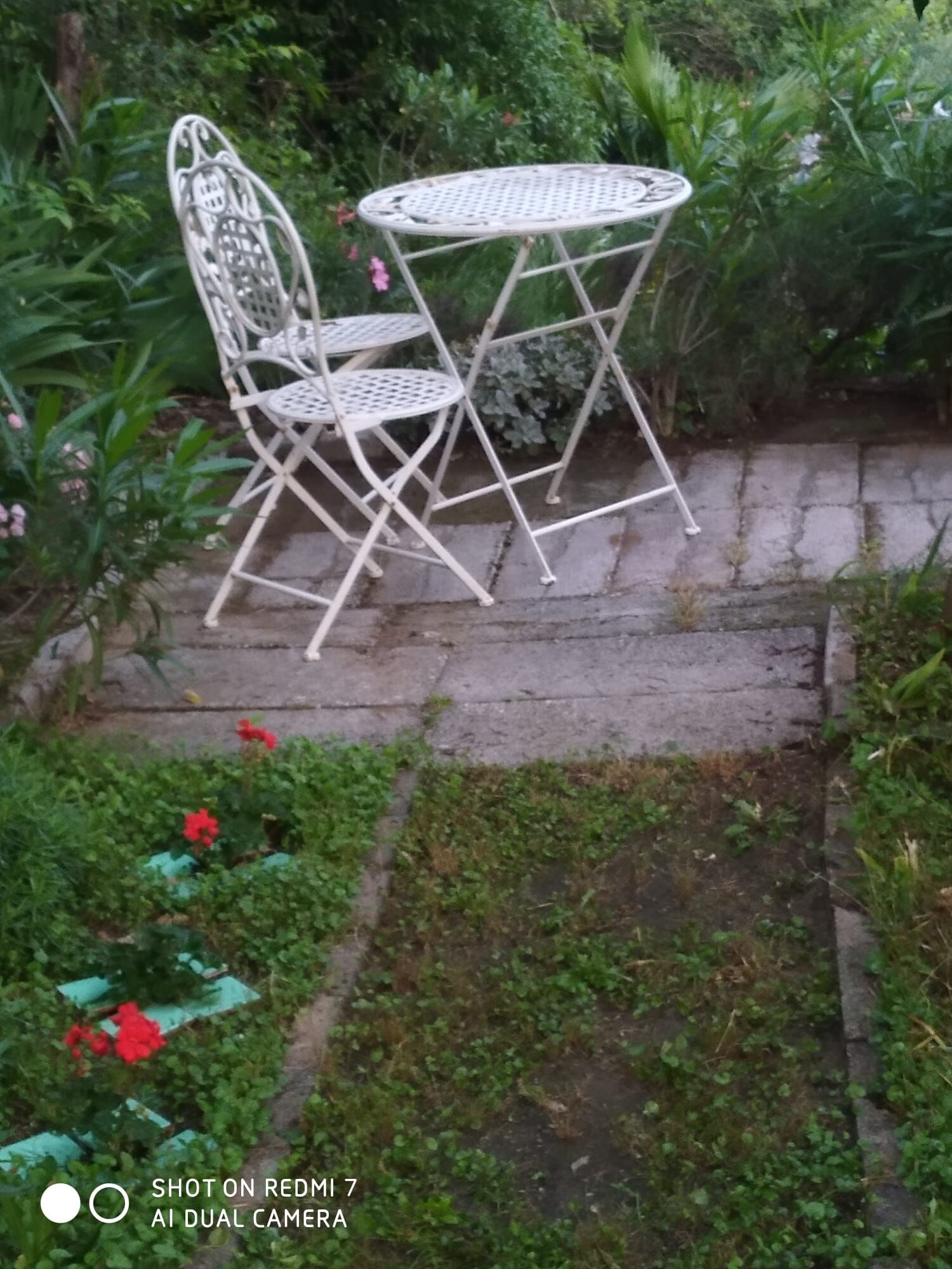 Apartment Nature 41971-A1