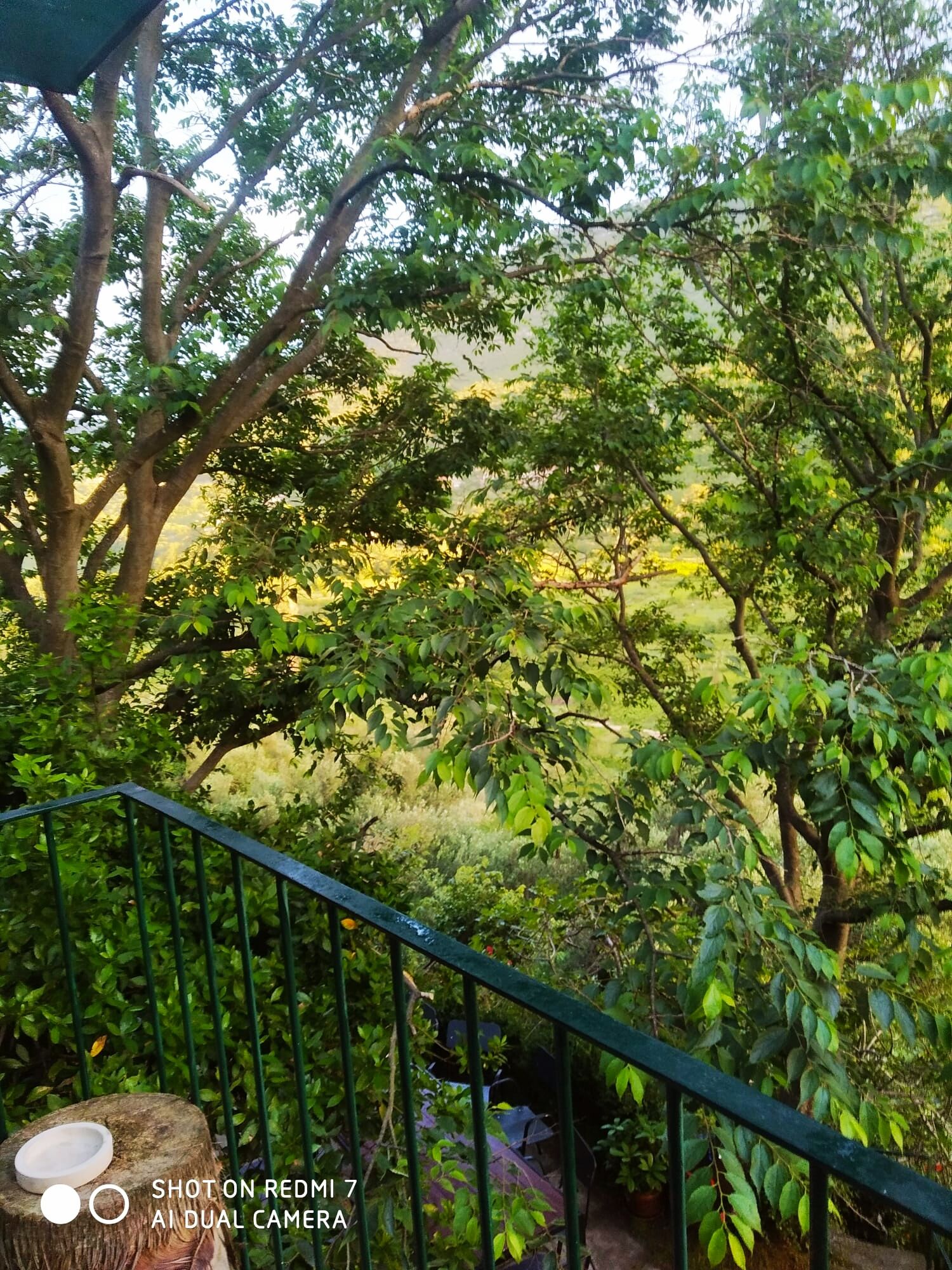 Apartment Nature 41971-A1