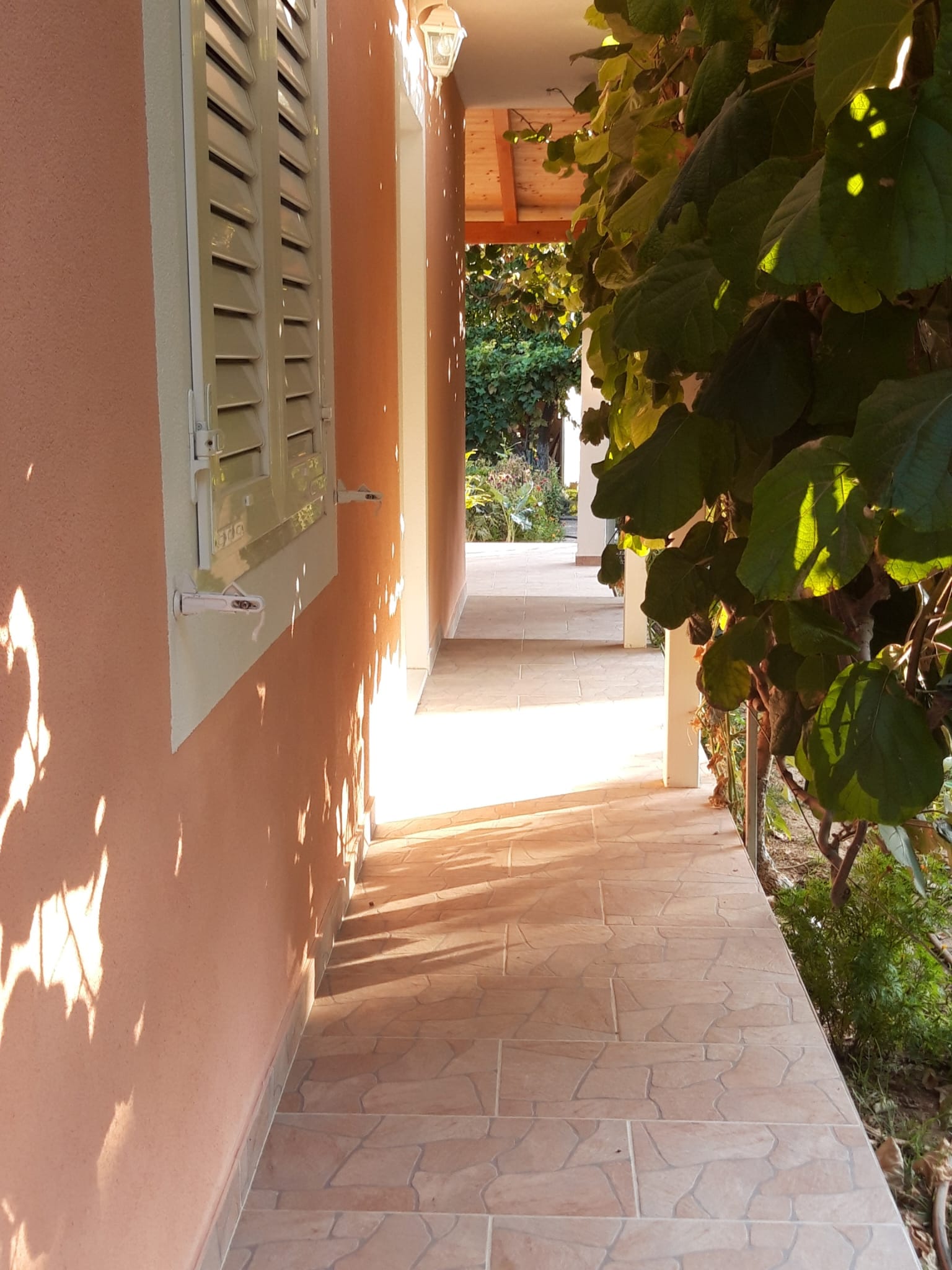 Photo of House River