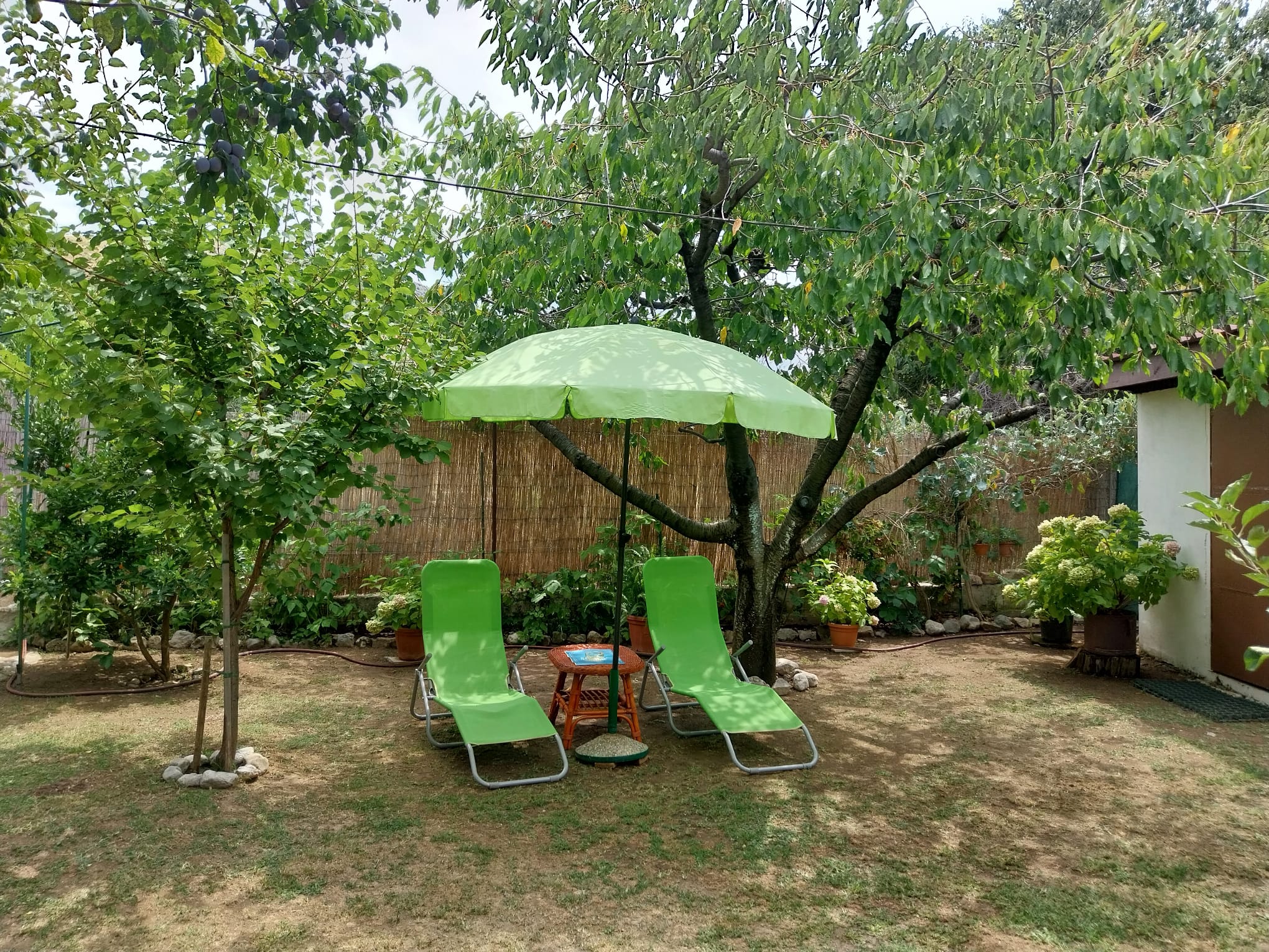 Photo of House River