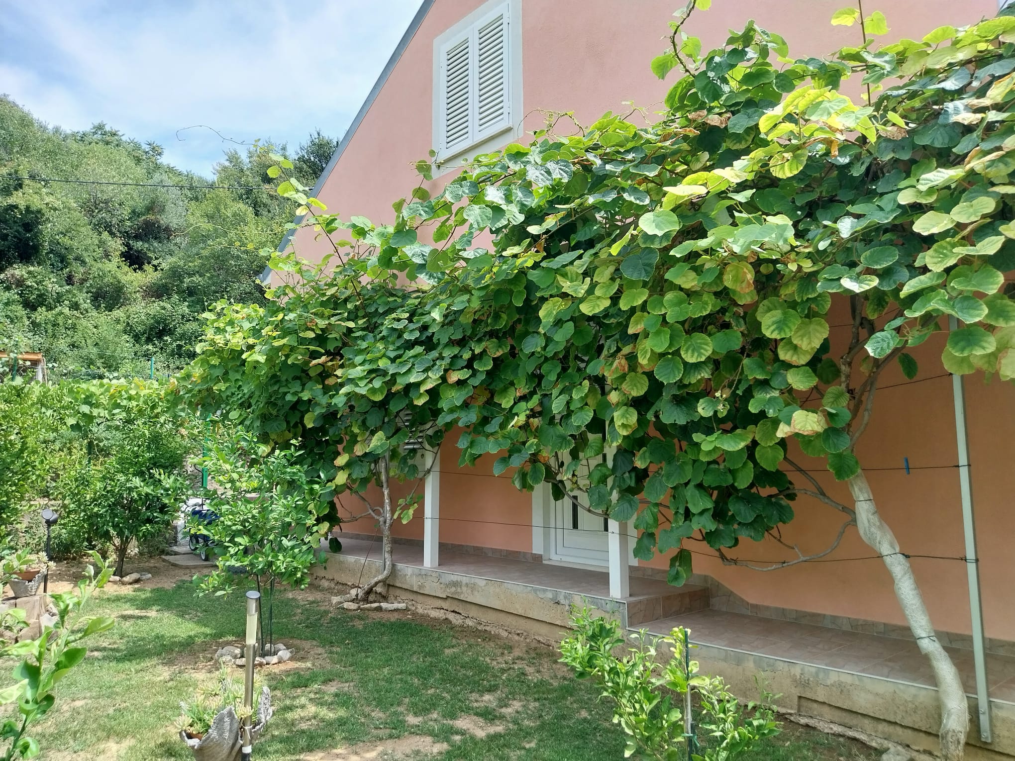 Photo of House River