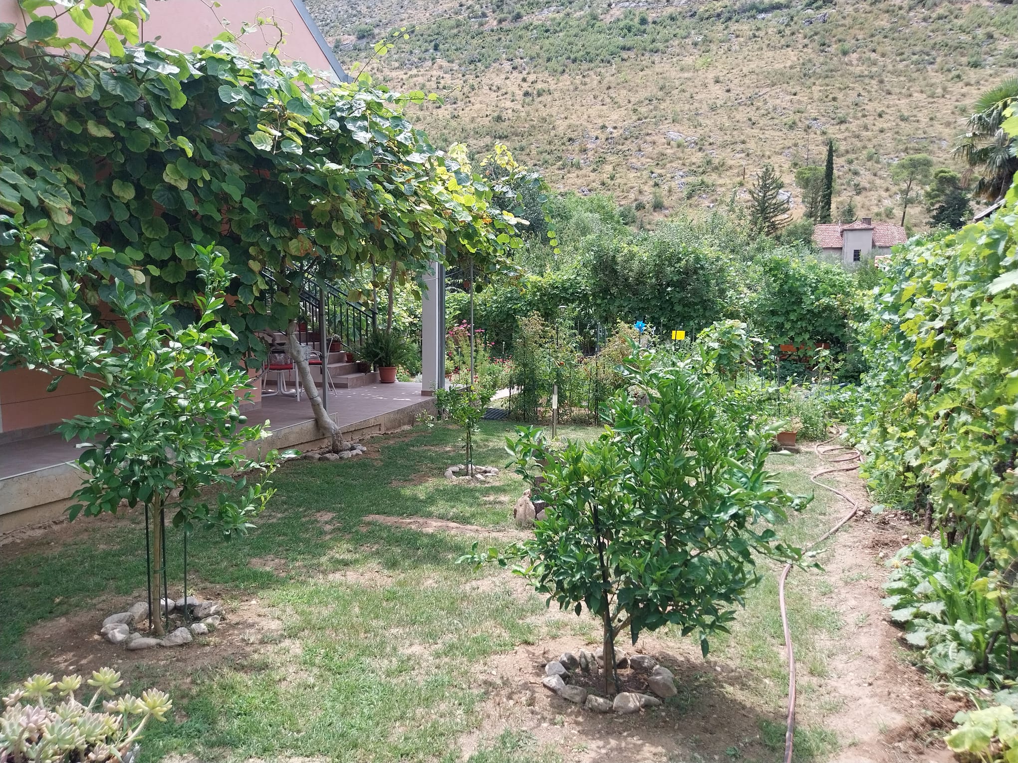 Photo of House River