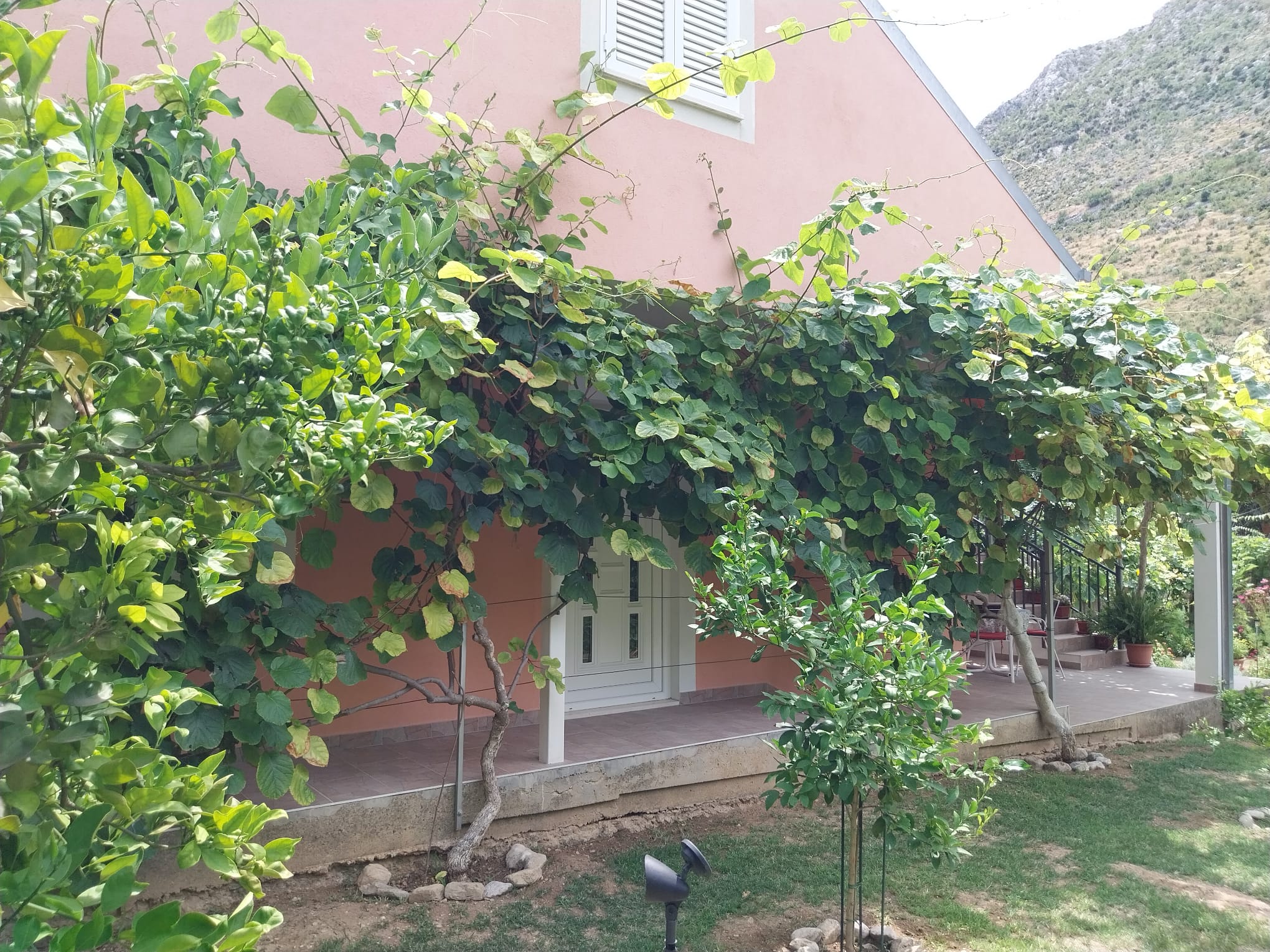 Photo of House River