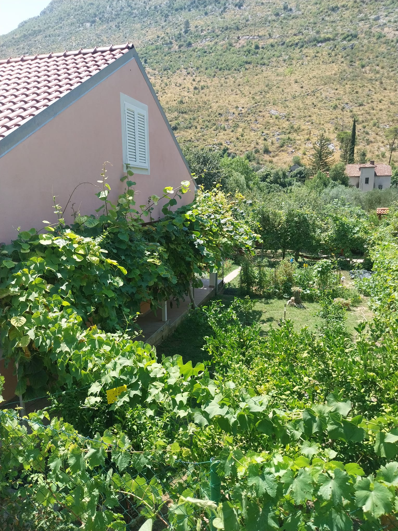 Photo of House River