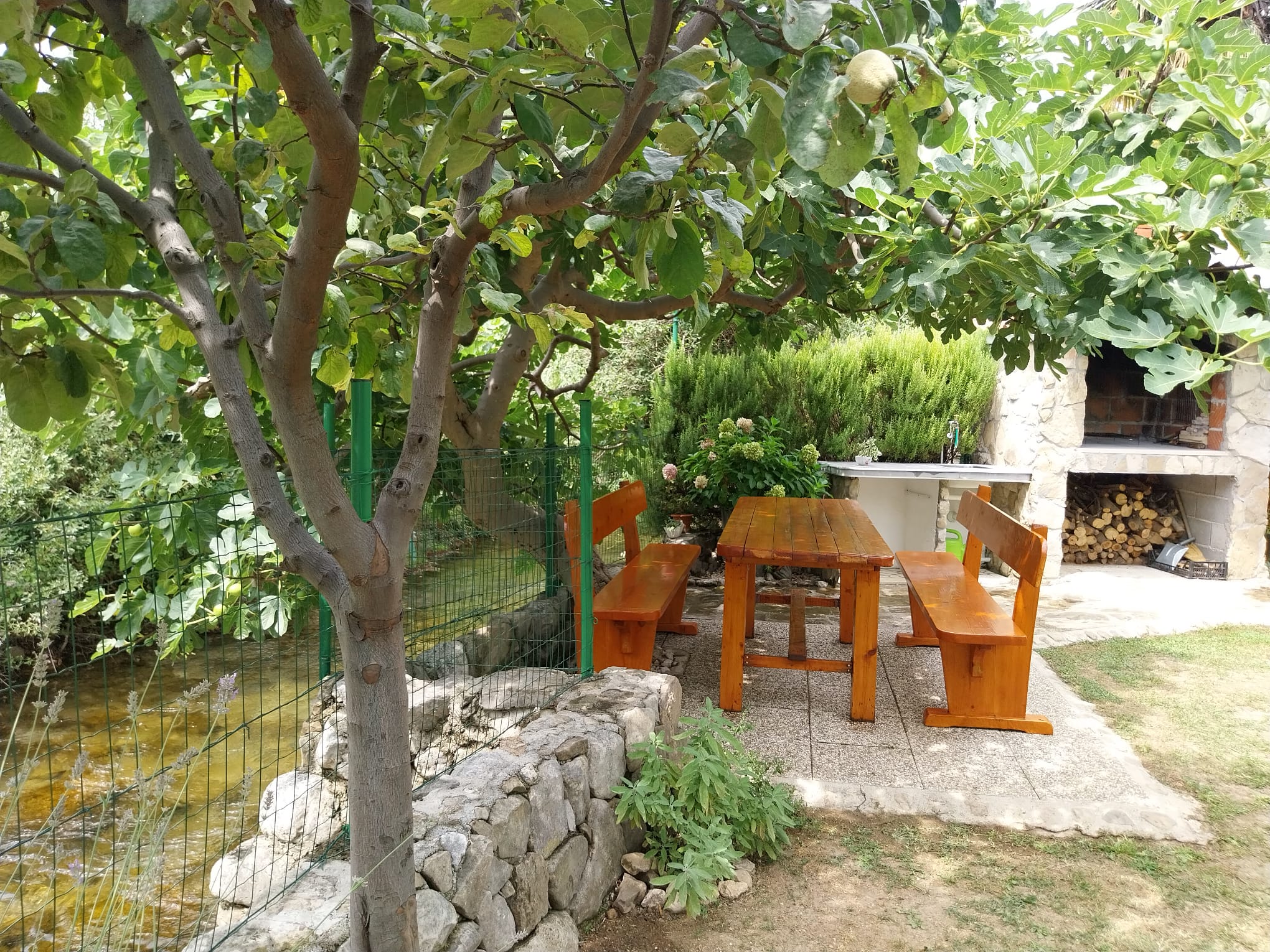 Photo of House River