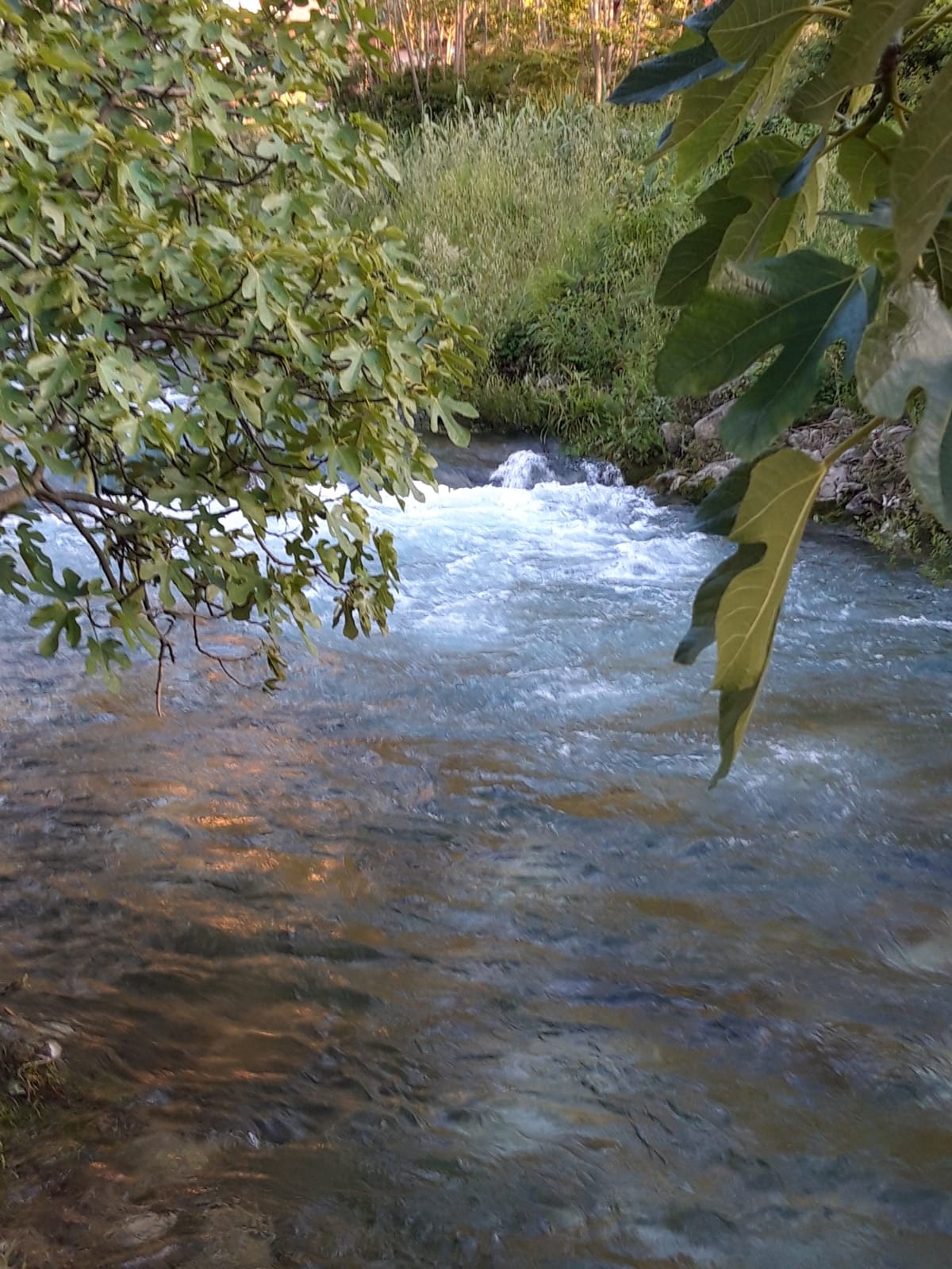 Photo of House River