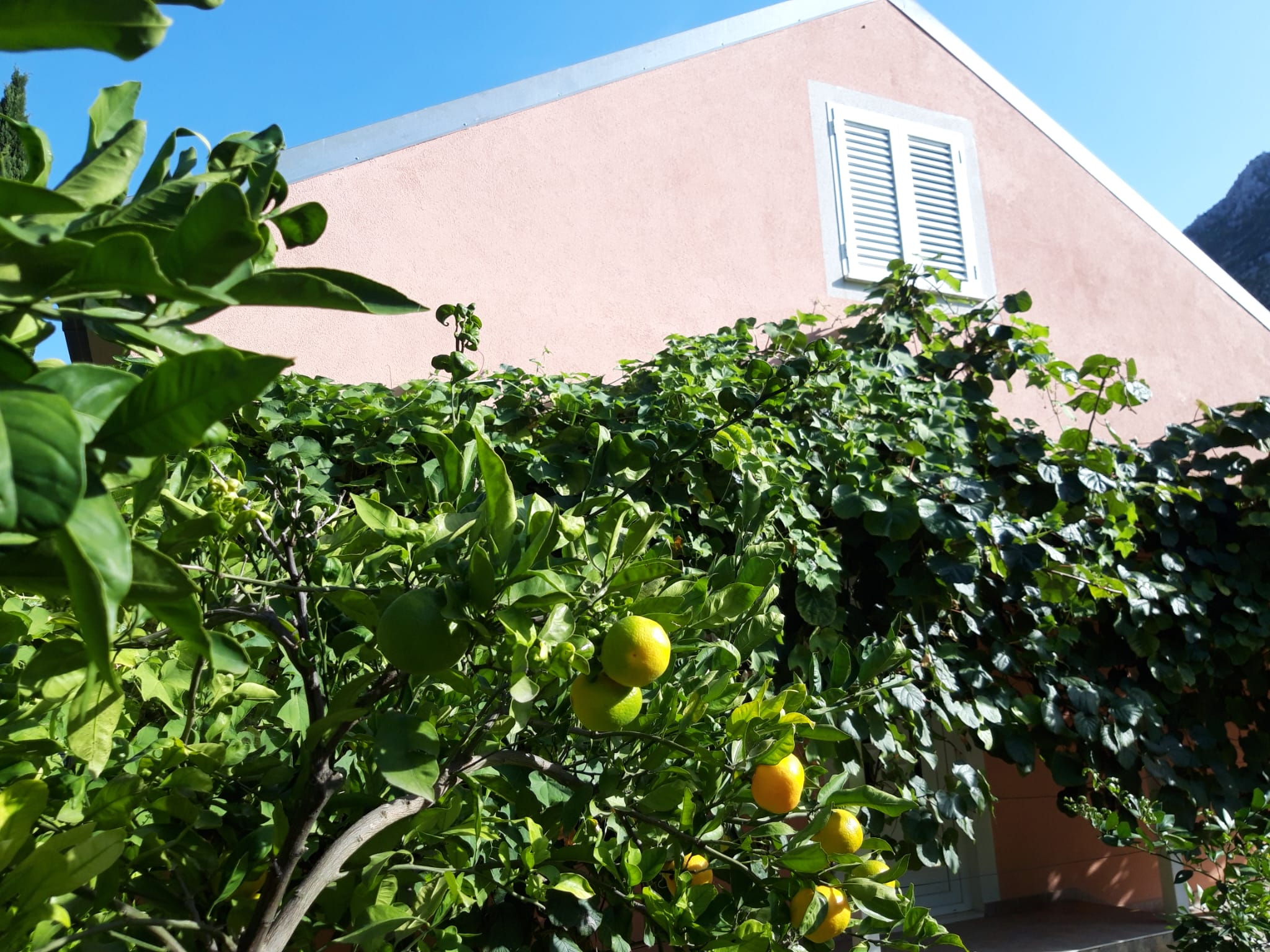 Photo of House River