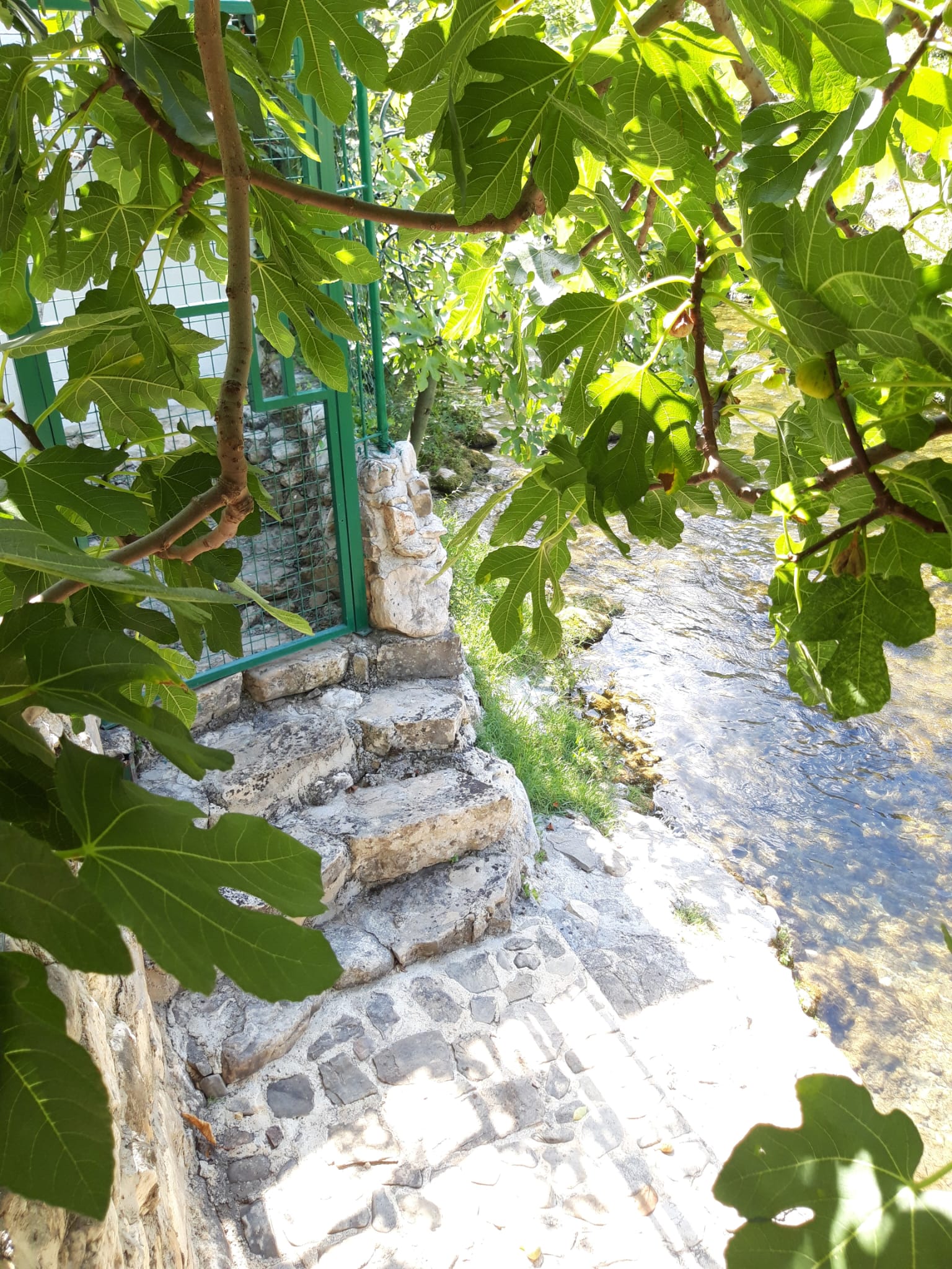 Photo of House River