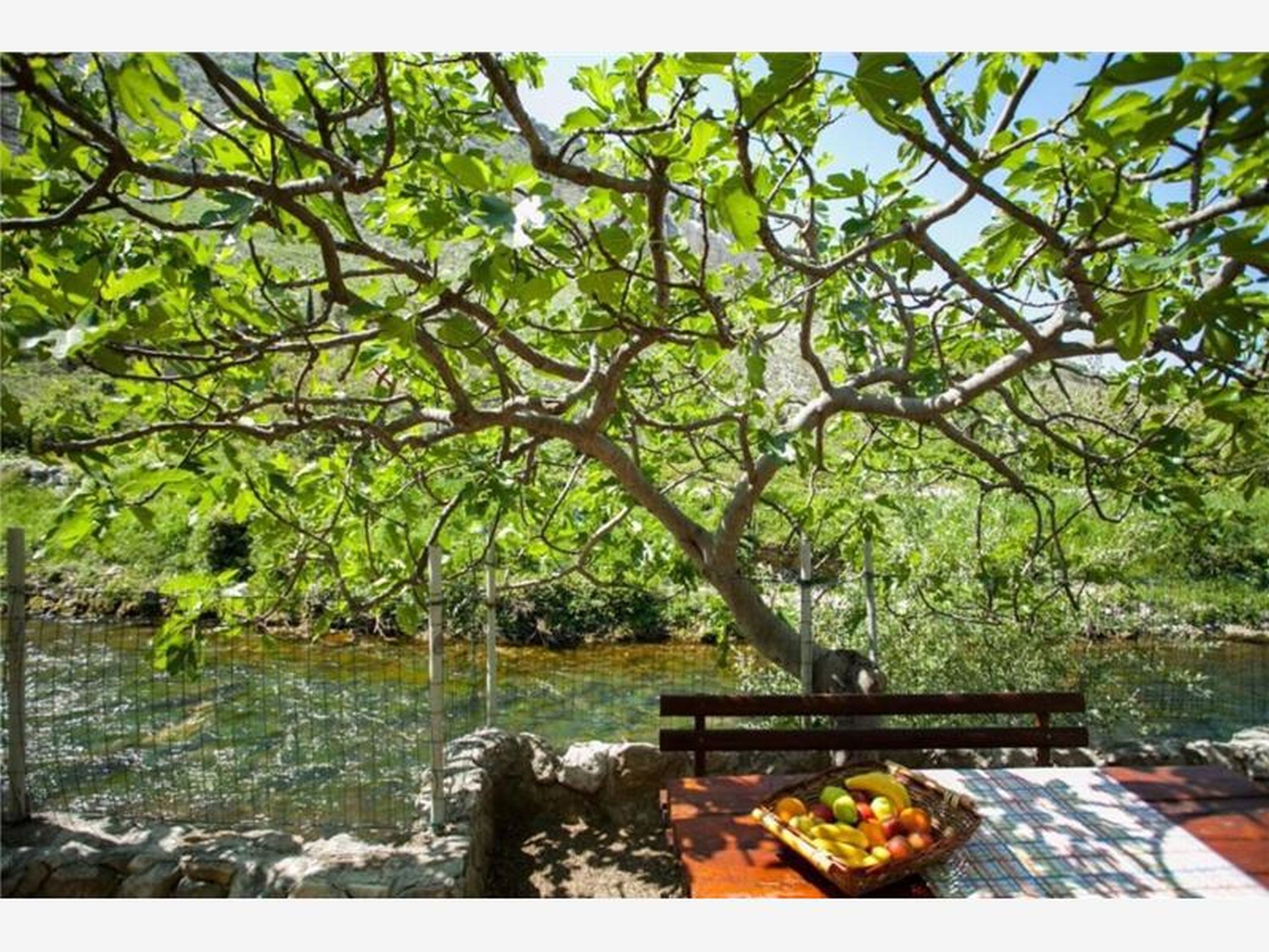 Photo of House River