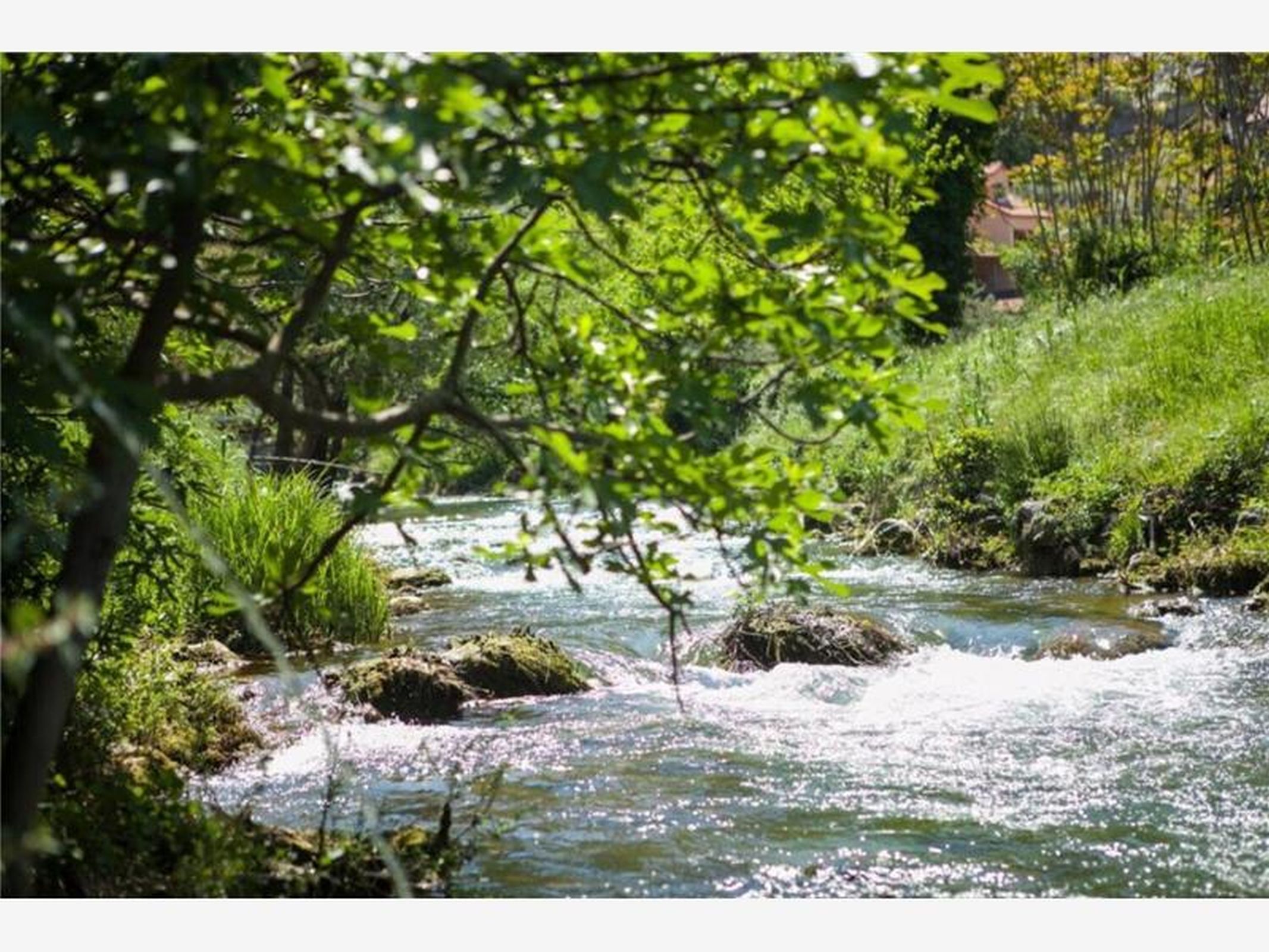 Photo of House River