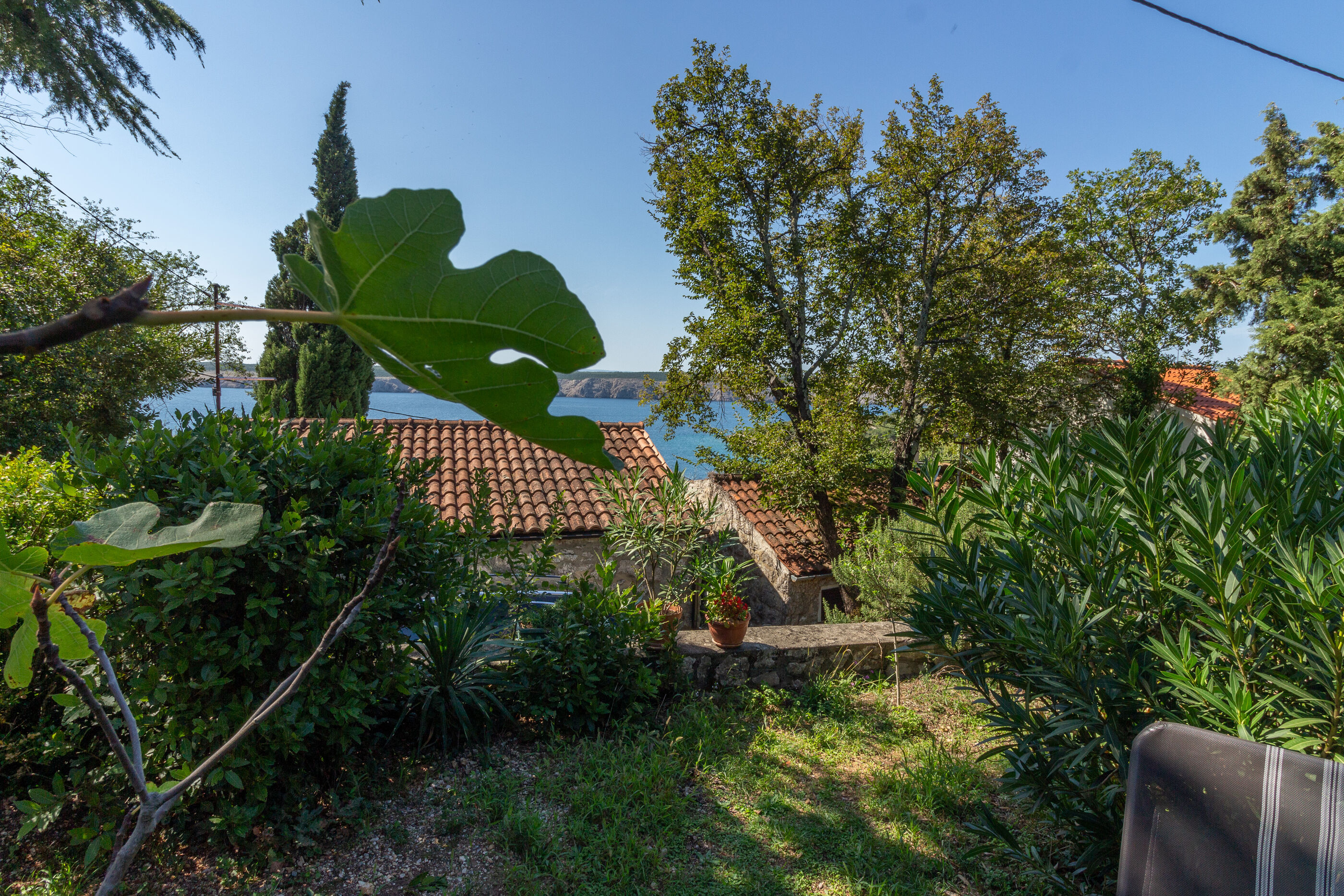 Apartment Seneca 62748-A3