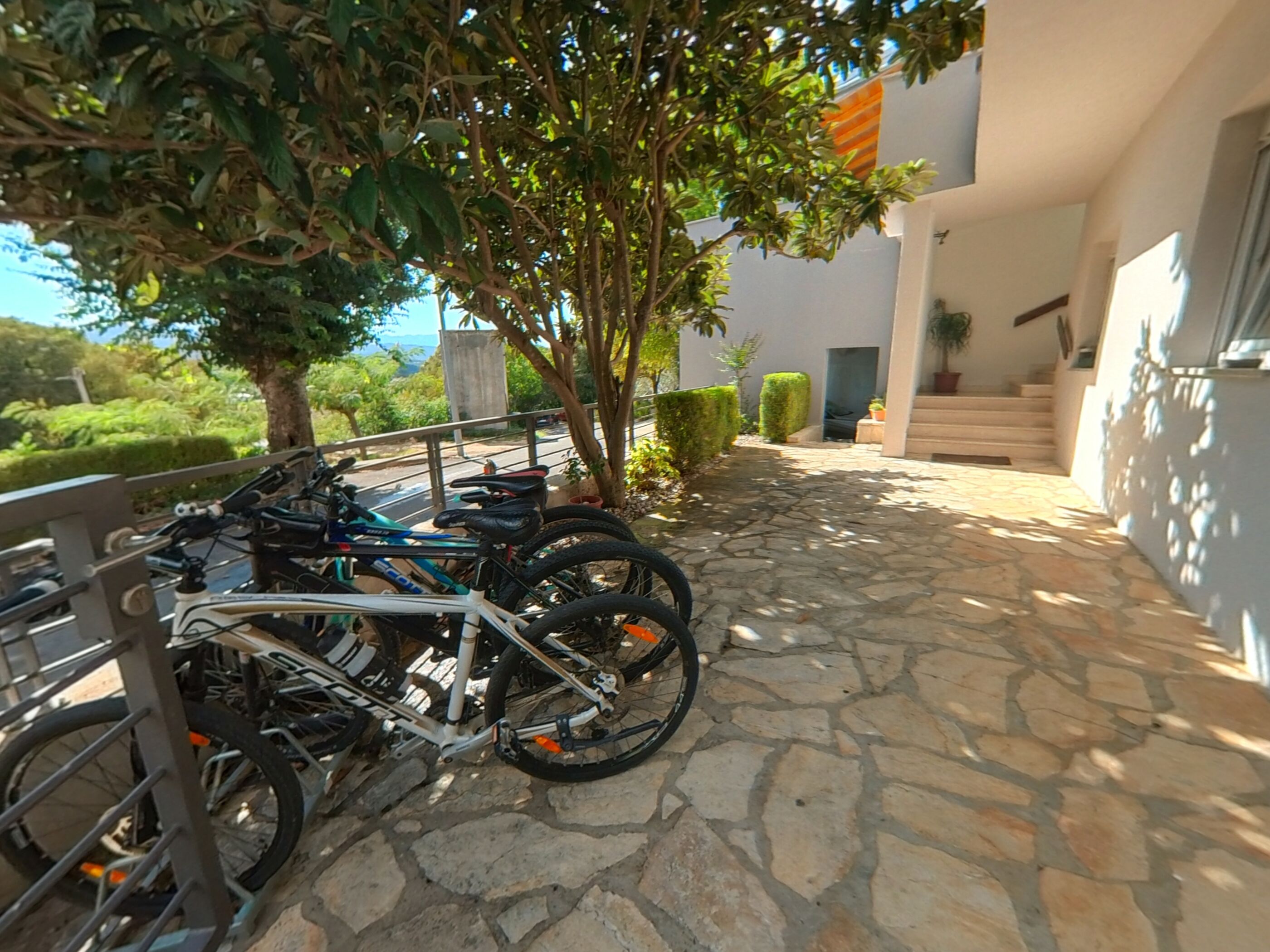 House Neda 115031-K1