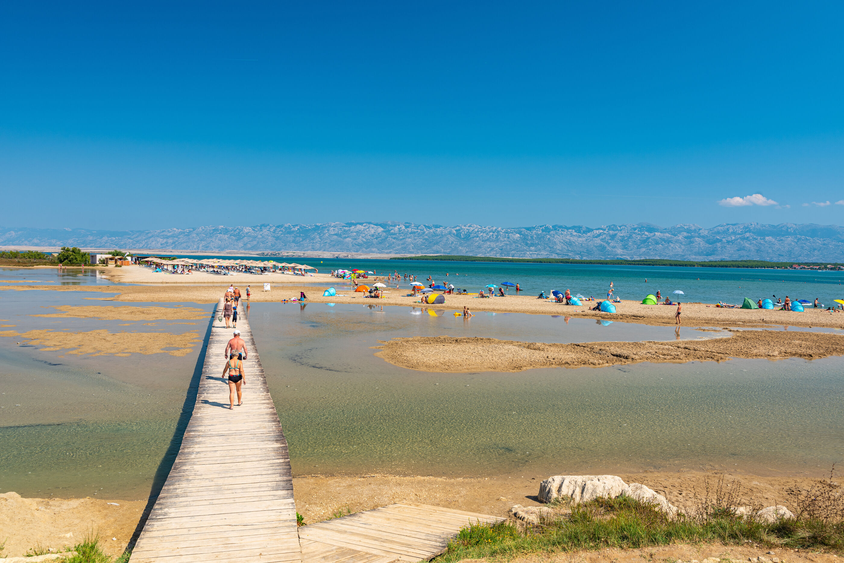 Photo of Apartments Nadica