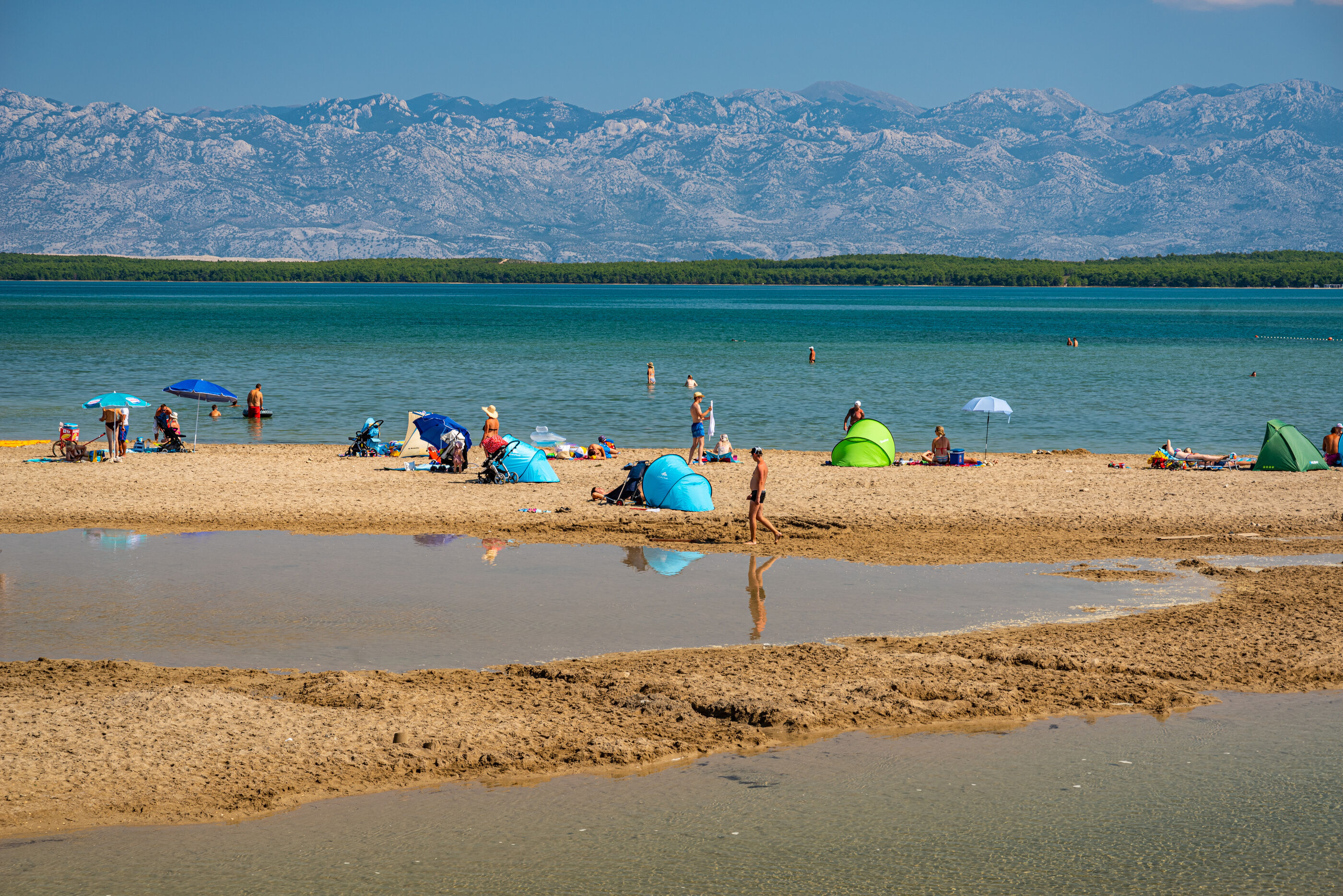 Photo of Apartments Nadica