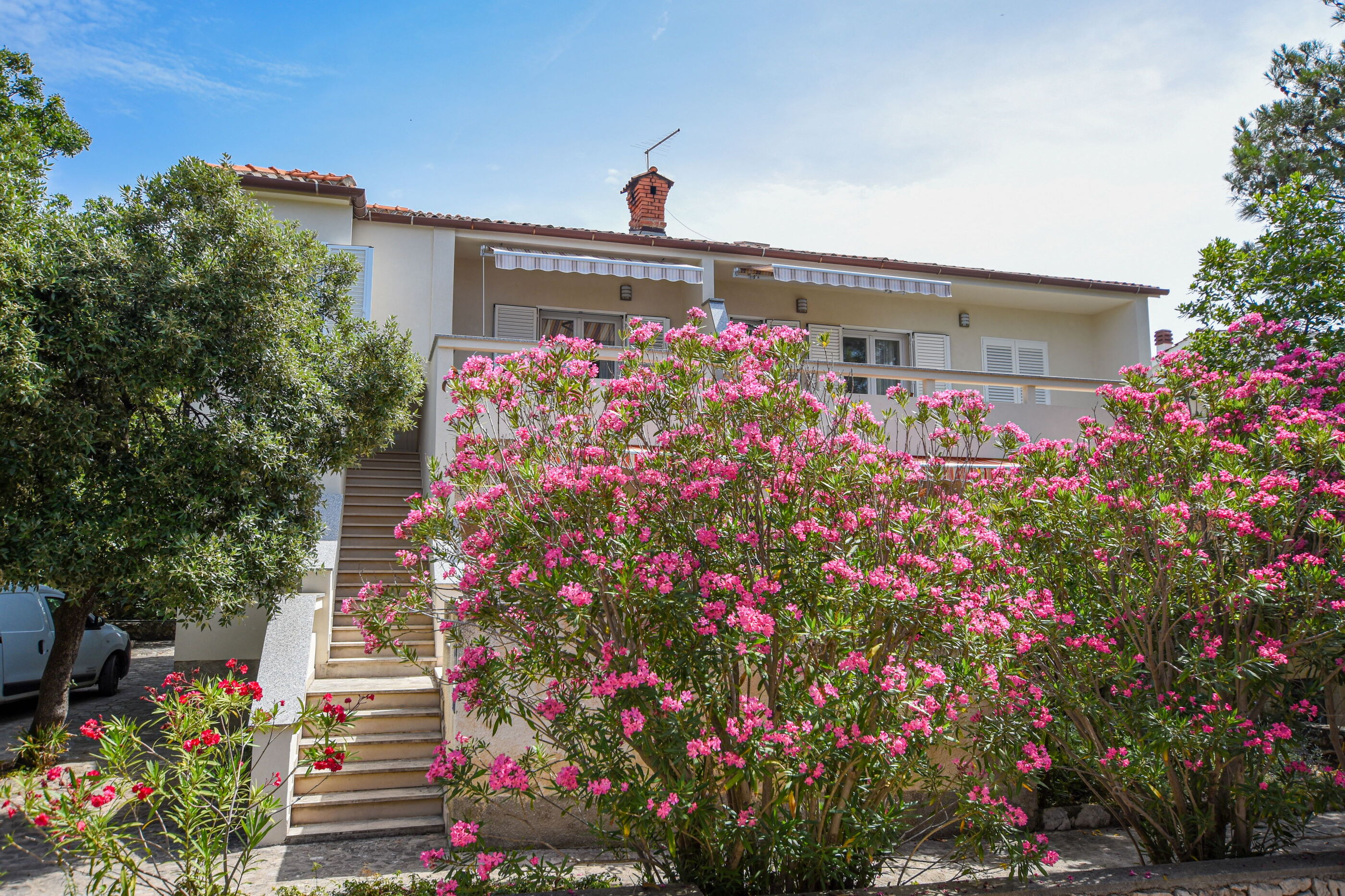 Apartment Neve 11014-A5