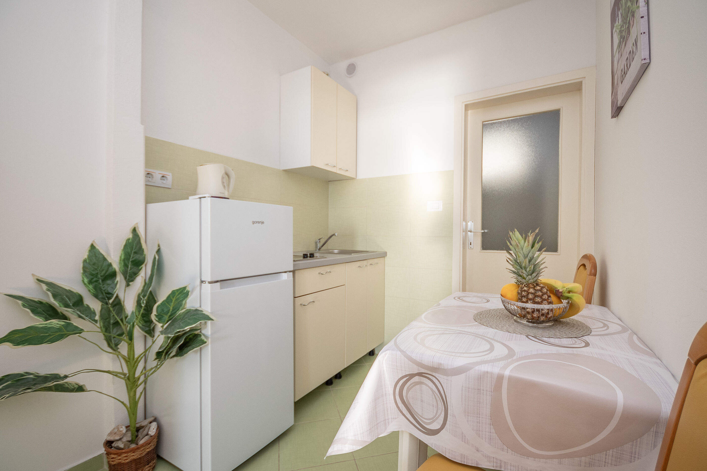 Apartment Ivana 112421-A1