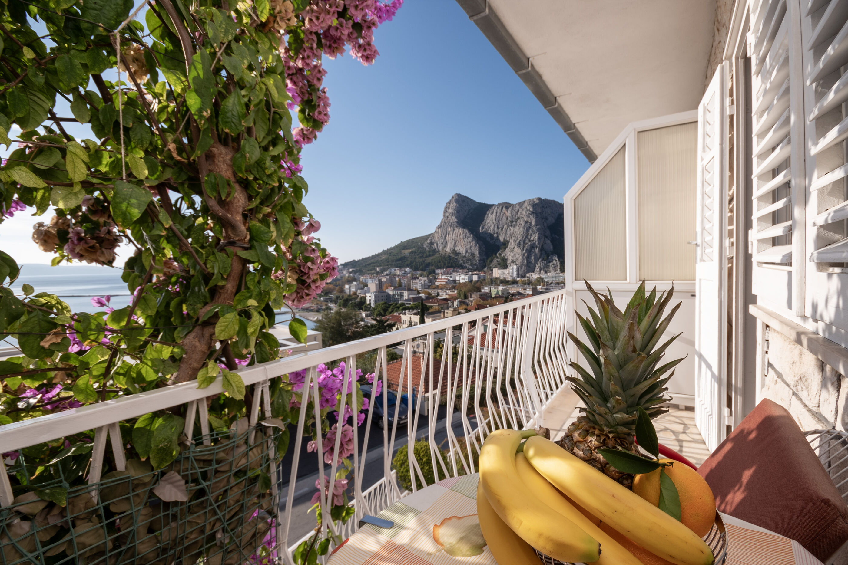 Apartment Ivana 112421-A1