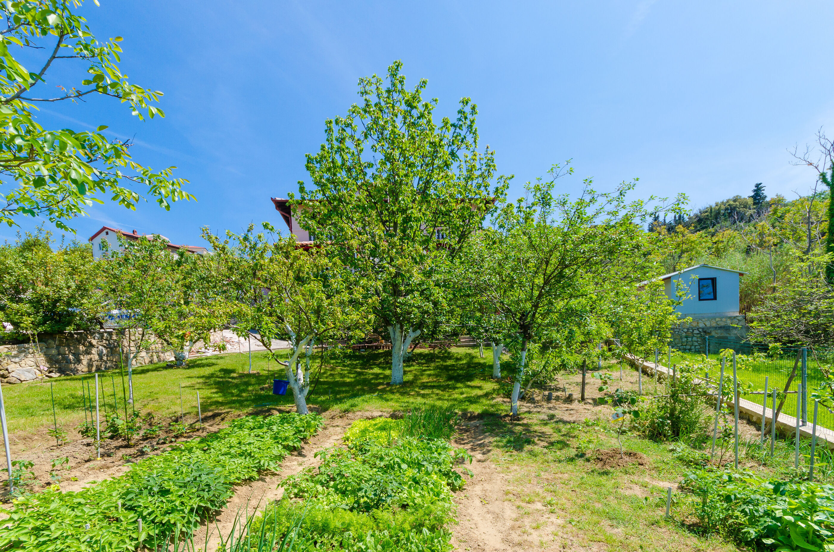 Photo of Apartments Grga