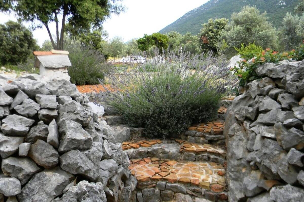 House Kadulja 16661-K2