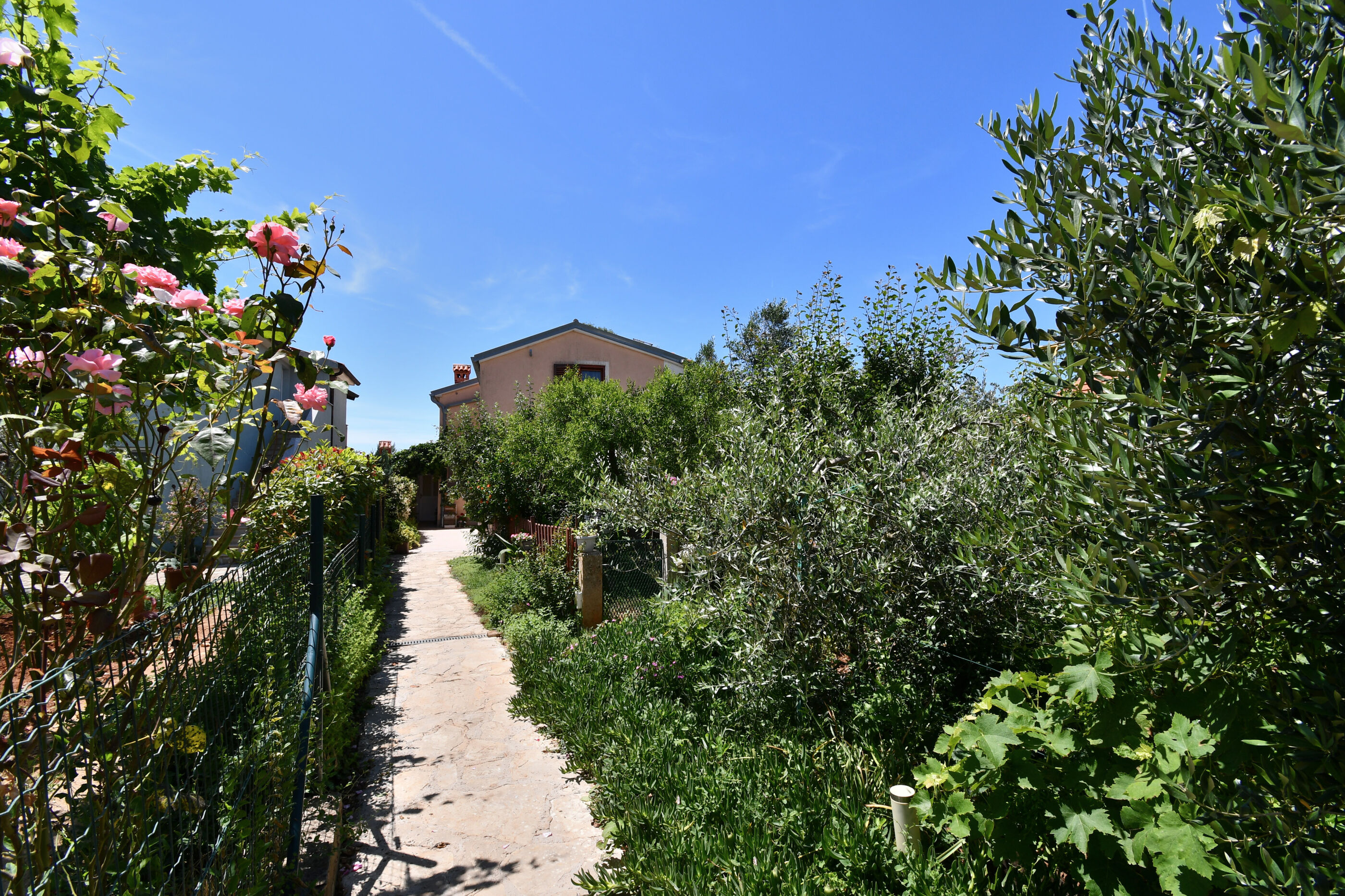 Apartments Petra 35351-A3