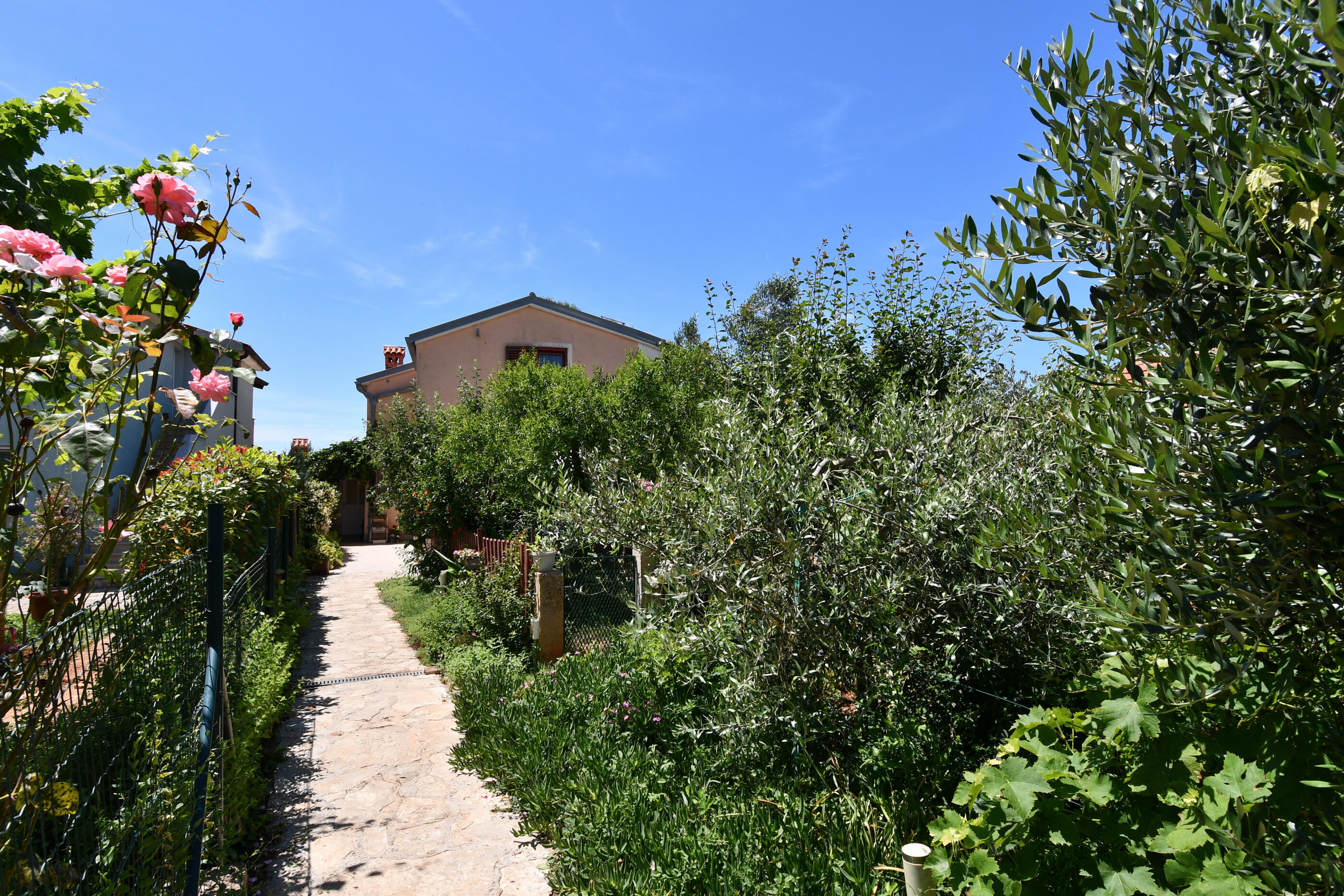 Apartments Petra 35351-A3