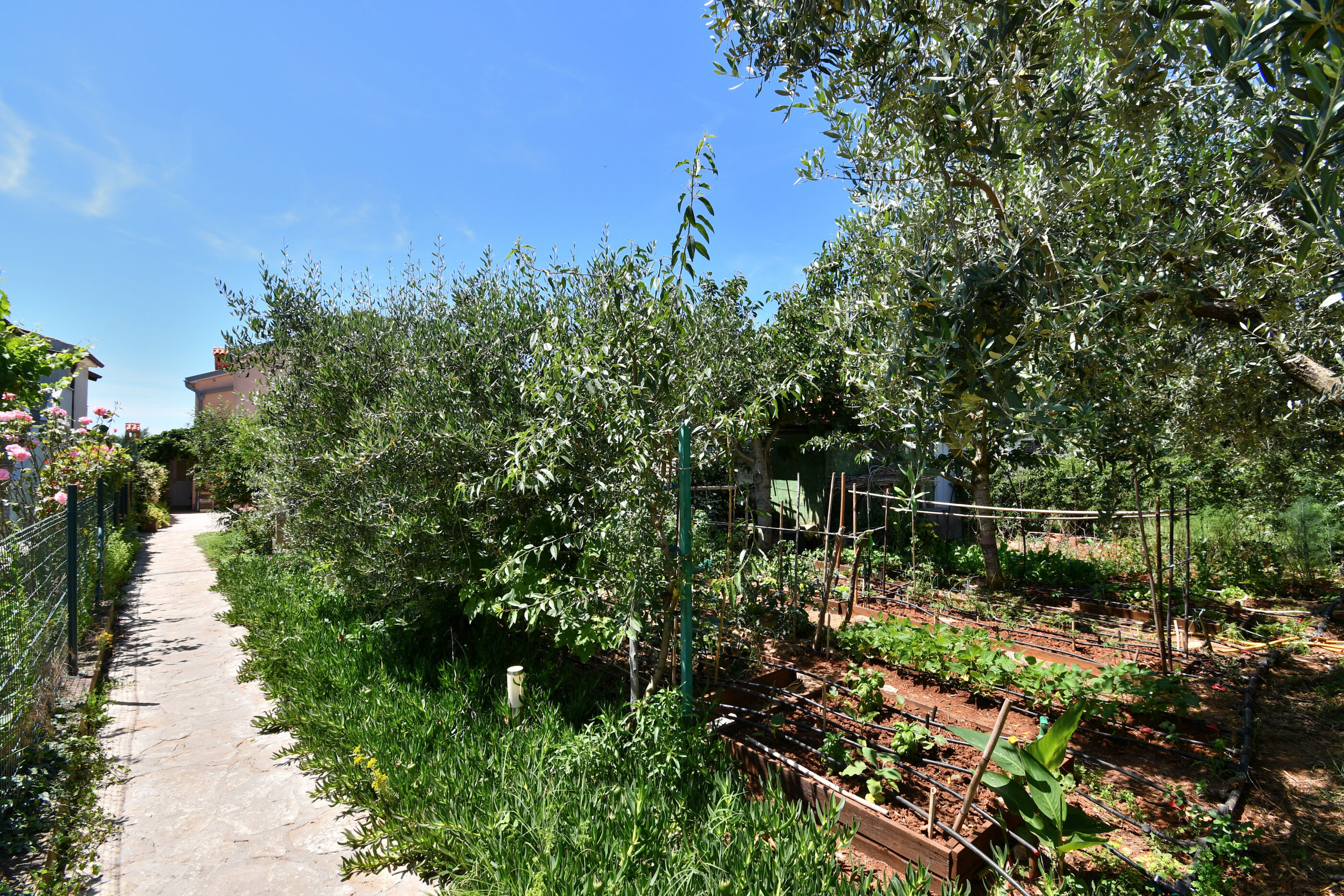 Photo of Apartments Petra