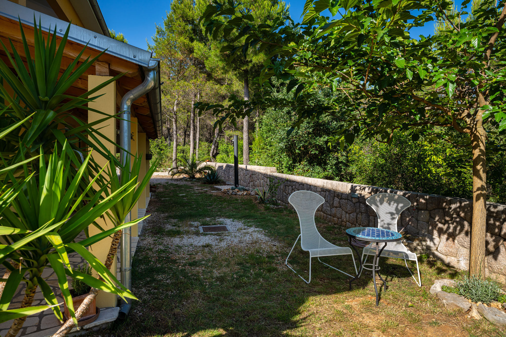 Apartment Agava 115401-A1