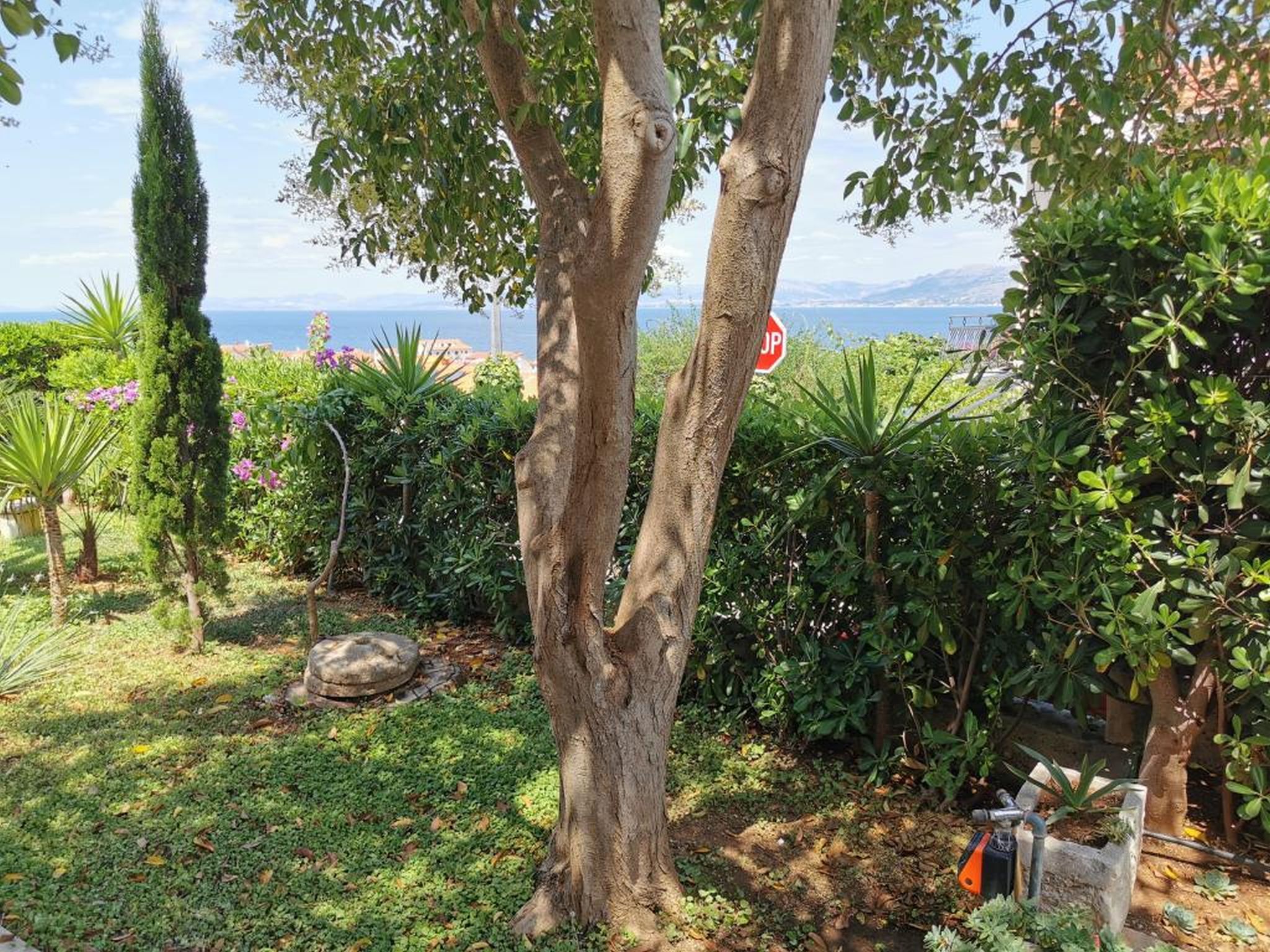 Apartment Vesna 115371-A1