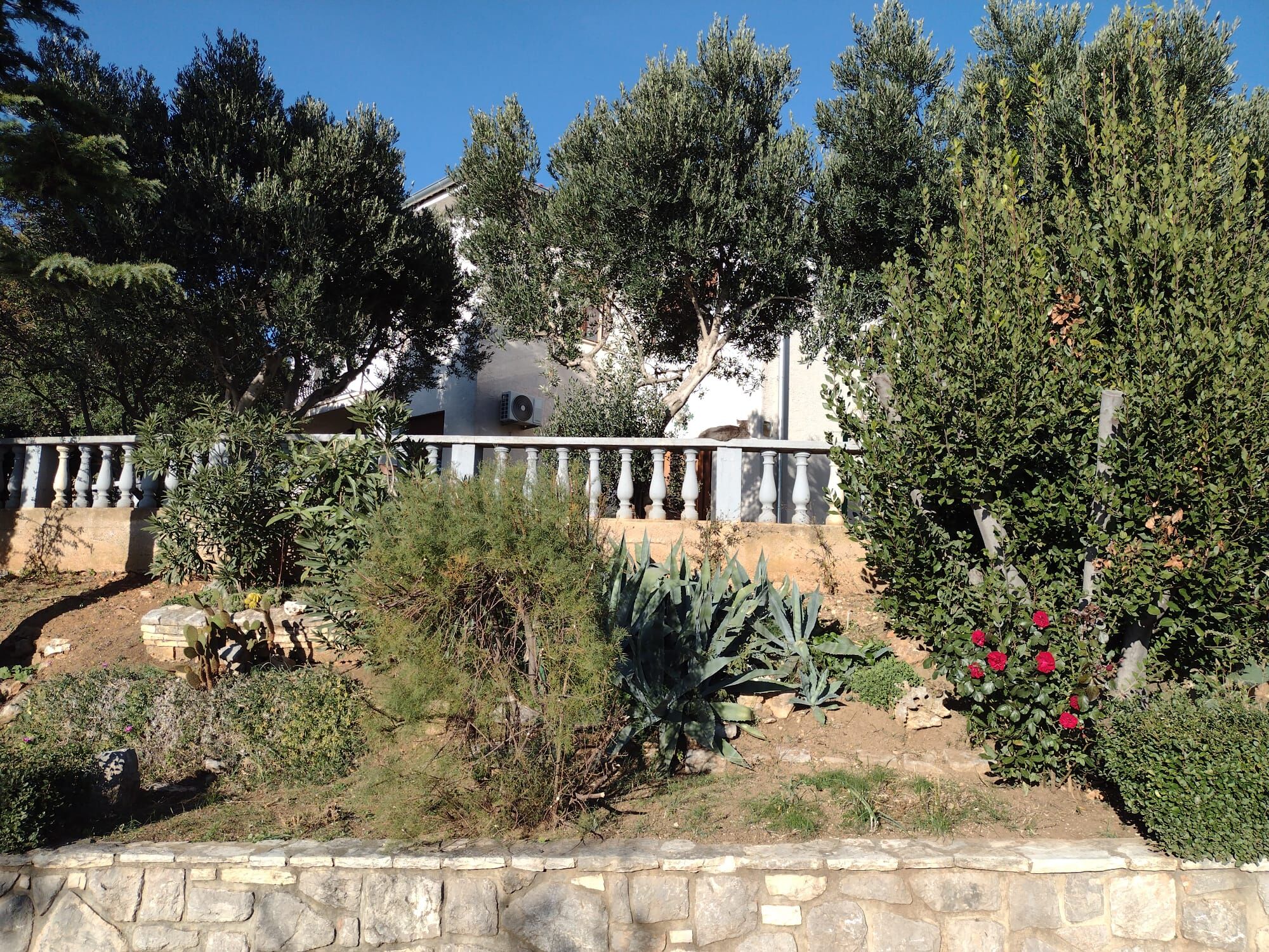 Apartment Anchi 115451-A1