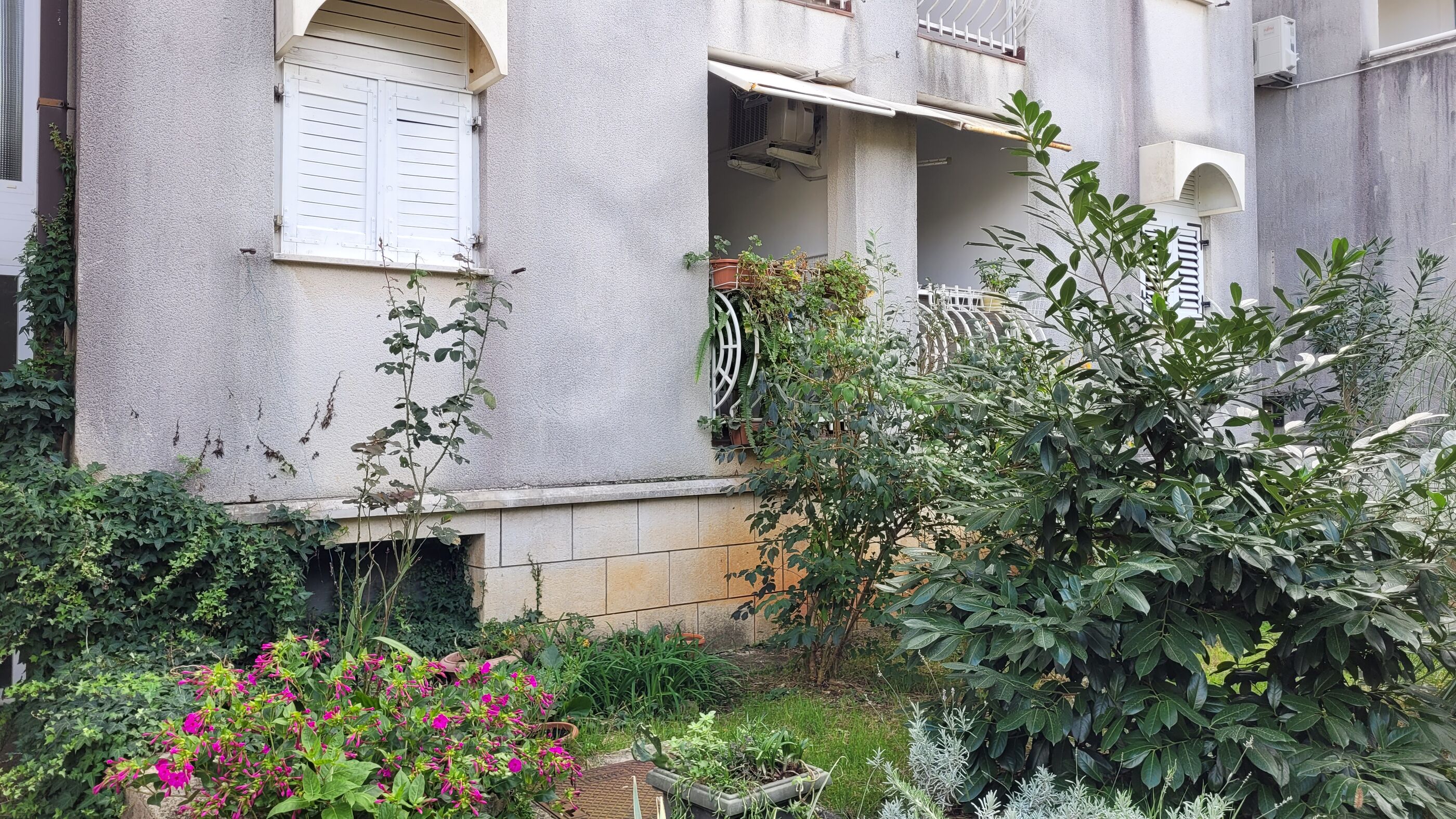Apartment Antica 62081-A1